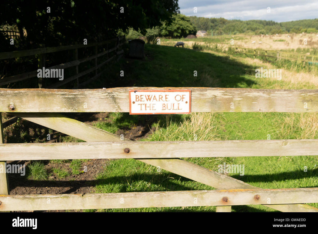 Attenzione di bull segno presso il museo Beamish Foto Stock