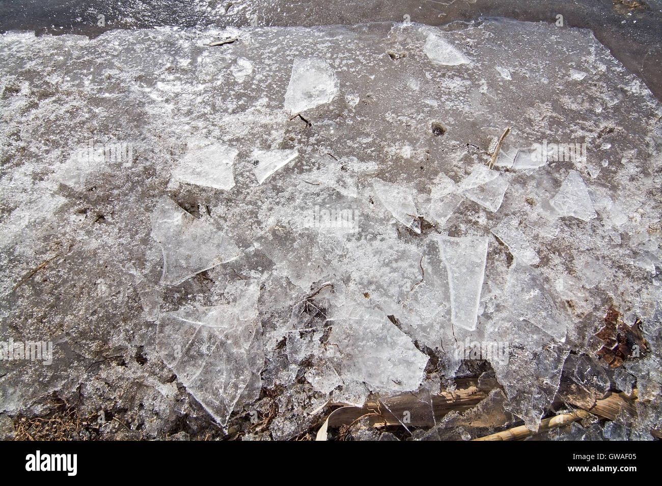 Ghiaccio sul lago a Kanaan beach, Stoccolma, Svezia. Foto Stock