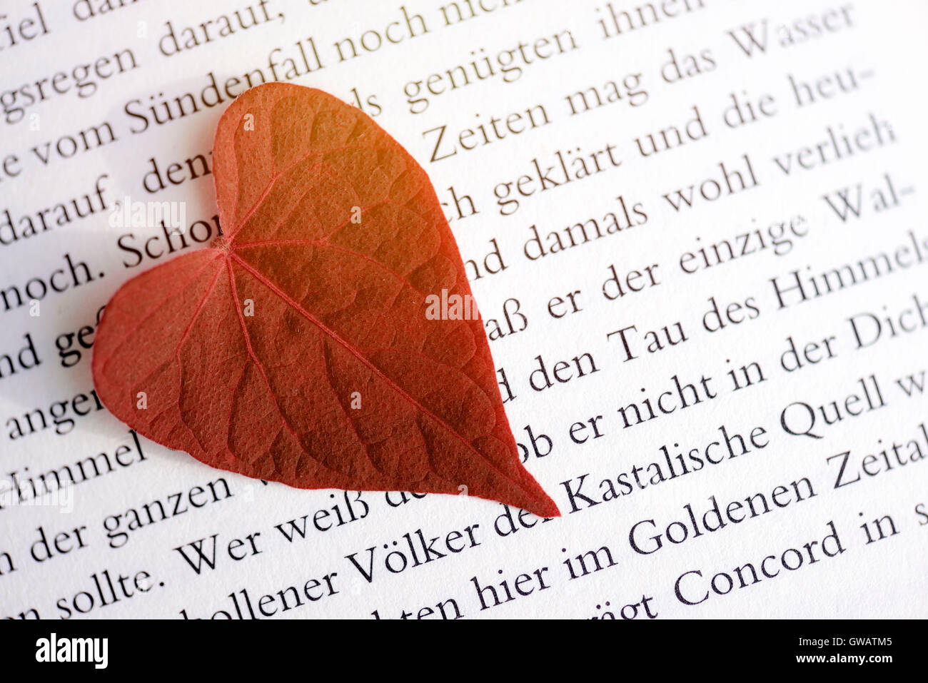 A forma di cuore sul foglio una pagina del libro, Herzfoermiges Blatt auf einer Buchseite Foto Stock