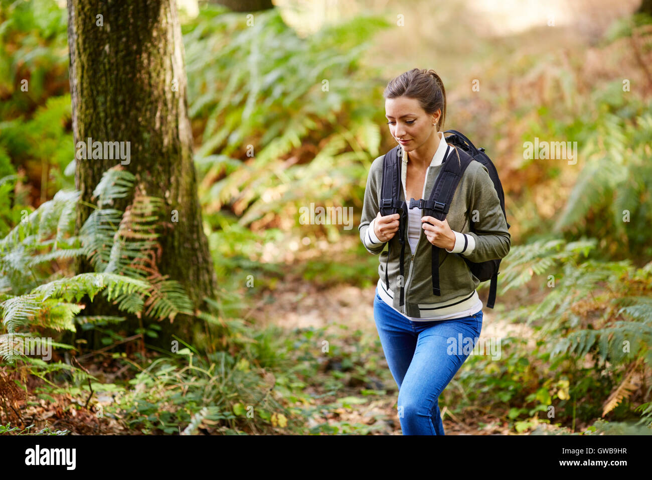 Donna passeggiate in campagna Foto Stock