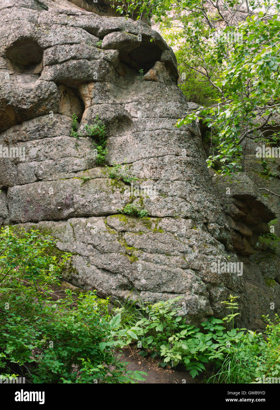 Roccia di granito sembra un volto umano con prove di erosione coperto di piante nella foresta mountaiun nella regione di Altai (Russia). Foto Stock