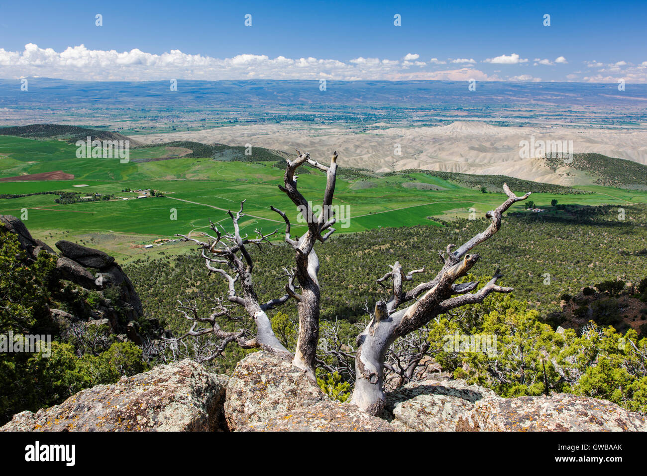 Vista a ovest dal punto di Warner si affacciano, Canyon Nero del Parco nazionale del Gunnison, Colorado, STATI UNITI D'AMERICA Foto Stock