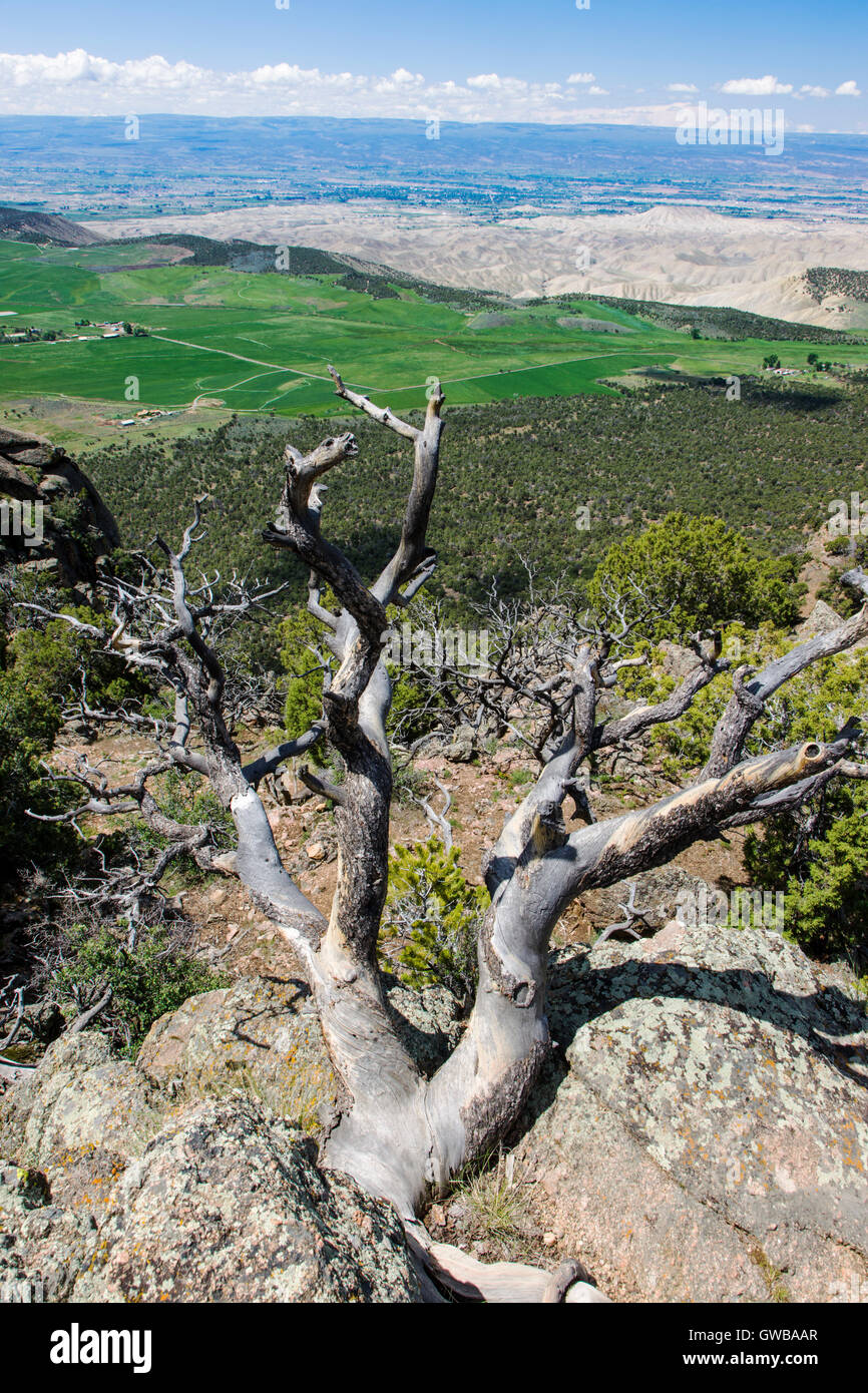 Vista a ovest dal punto di Warner si affacciano, Canyon Nero del Parco nazionale del Gunnison, Colorado, STATI UNITI D'AMERICA Foto Stock