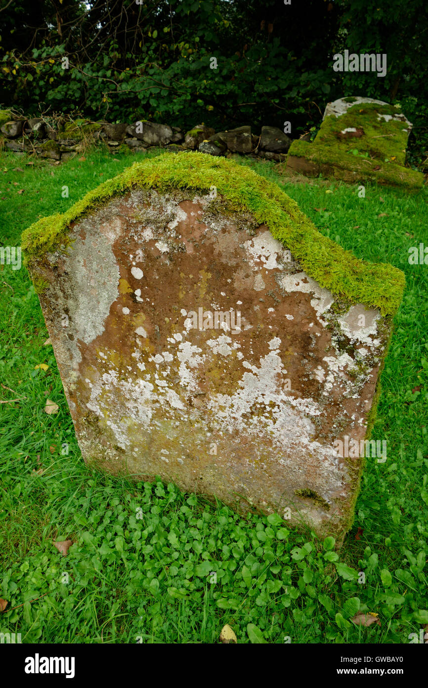 Moss crescente sulla parte superiore della vecchia pietra tombale. Foto Stock