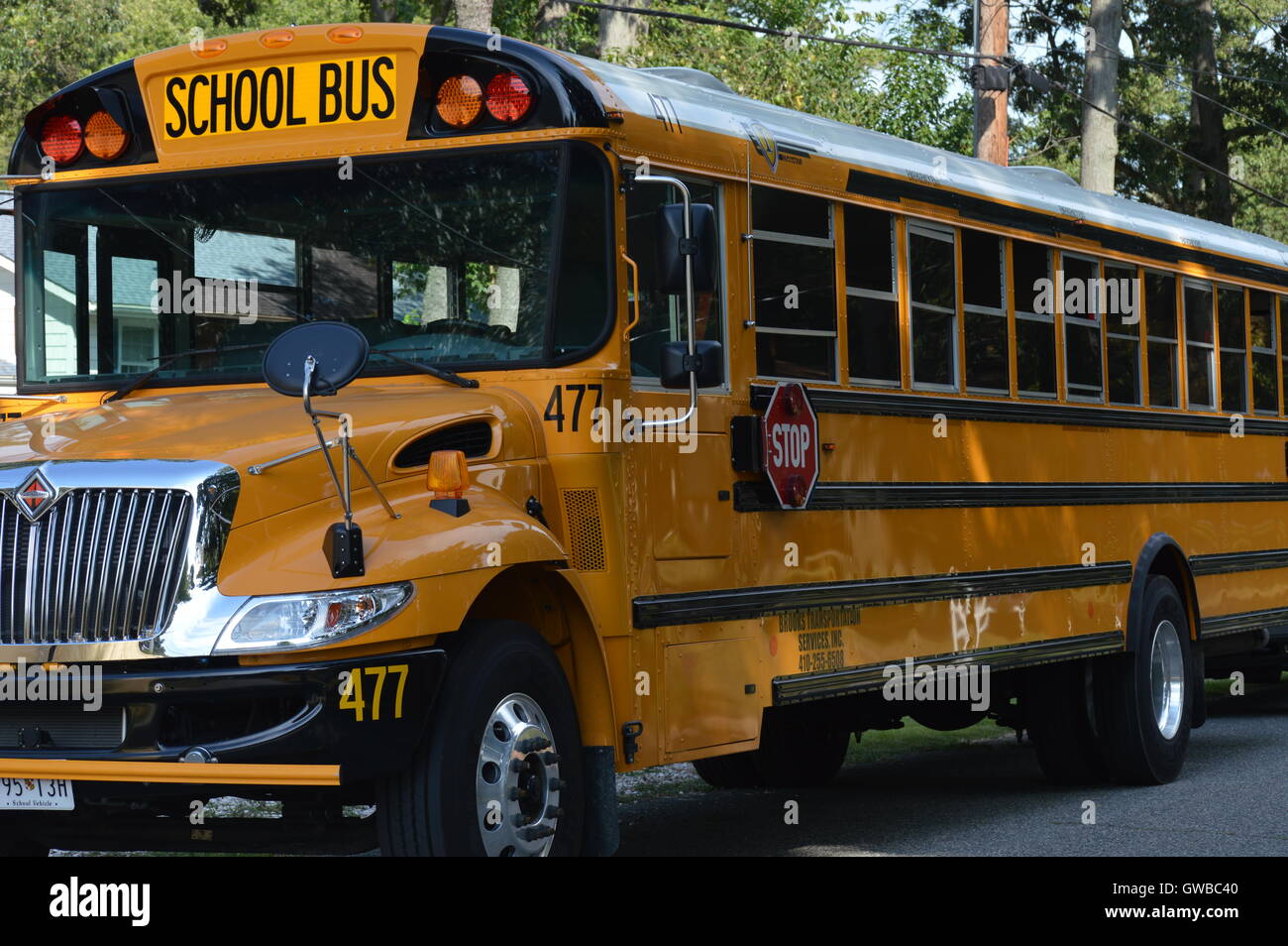Scuola bus sulla strada. Foto Stock