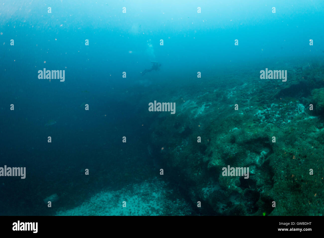 Scuba Diver vicino all'ambiente Buraca, 40m di profondità, vicino a Abrolhos area protetta, Brasile Foto Stock