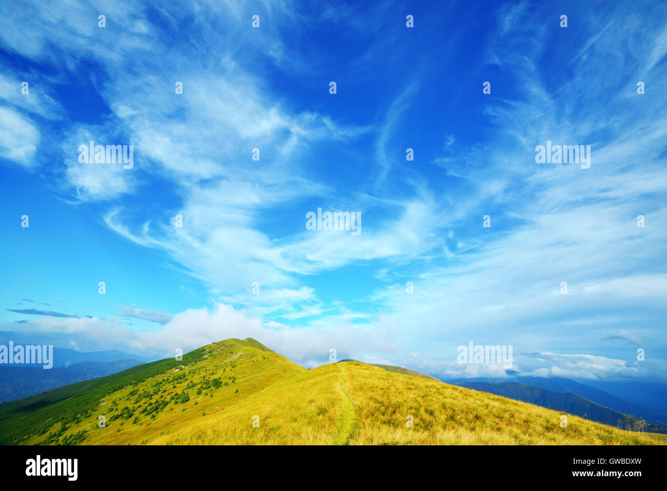 Carpazi montagna in estate Foto Stock