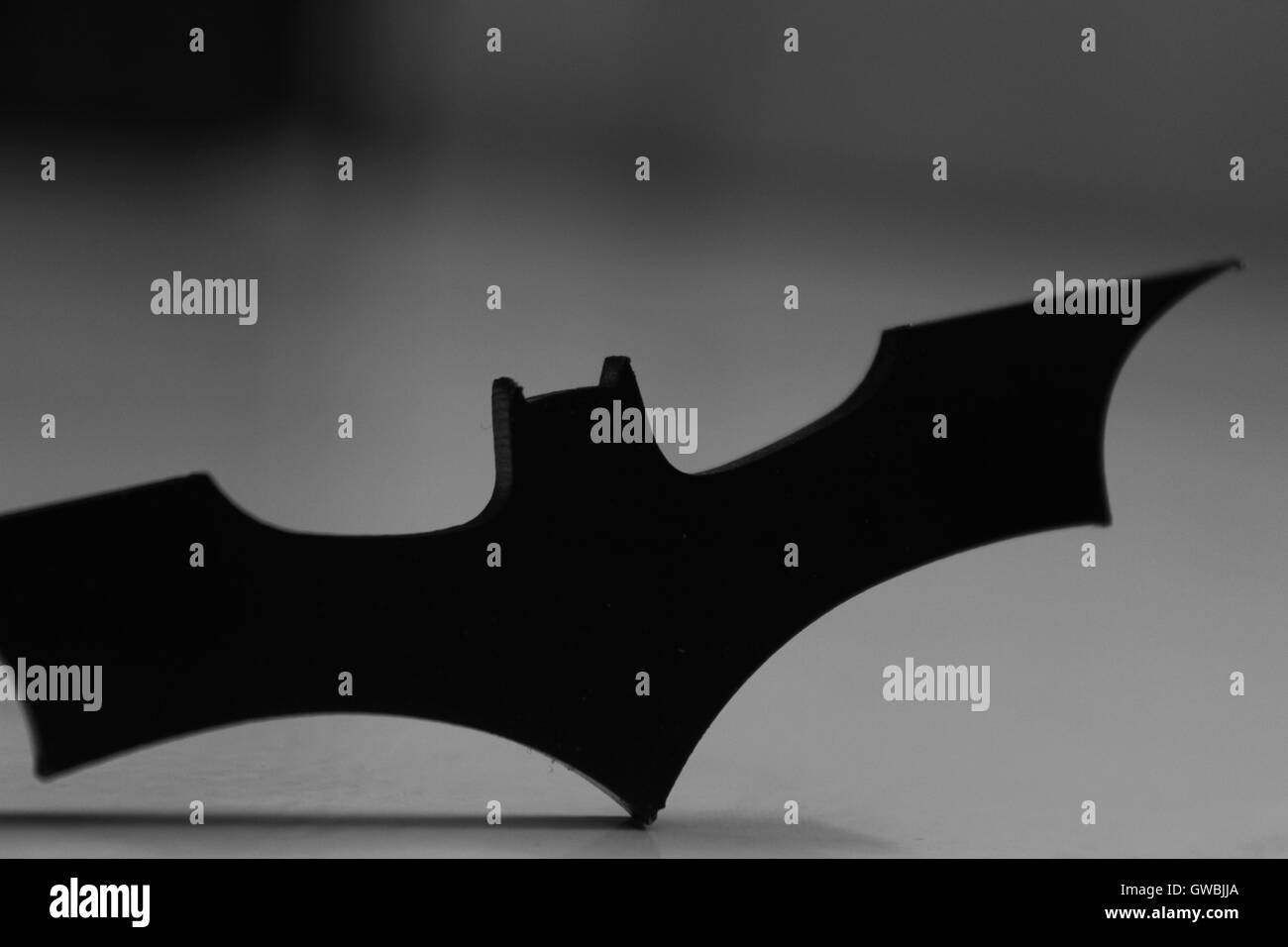Pipistrello Logo Foto Stock