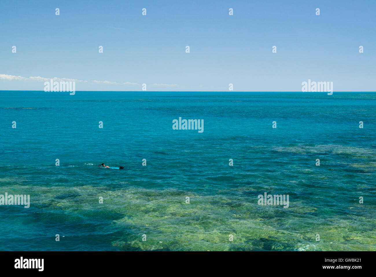 Persona libera facendo immersioni subacquee Snorkeling presso il reef nel sud di Bahia. Foto Stock