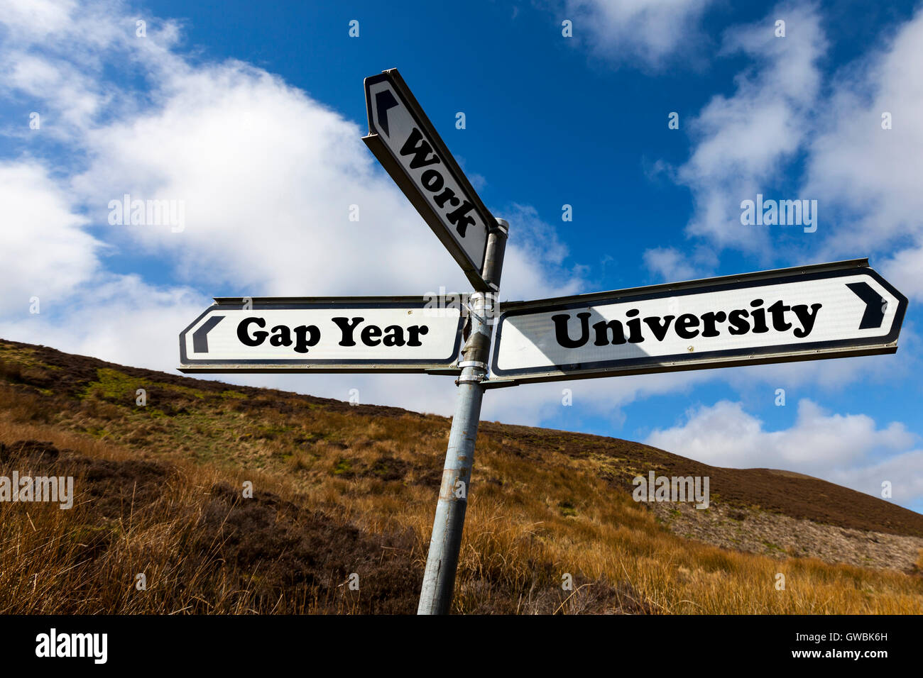 Anno Gap Università lavoro futuro scelta scegli la vita decisione decide di ulteriore istruzione direzione segno parole antonimi antonym Foto Stock