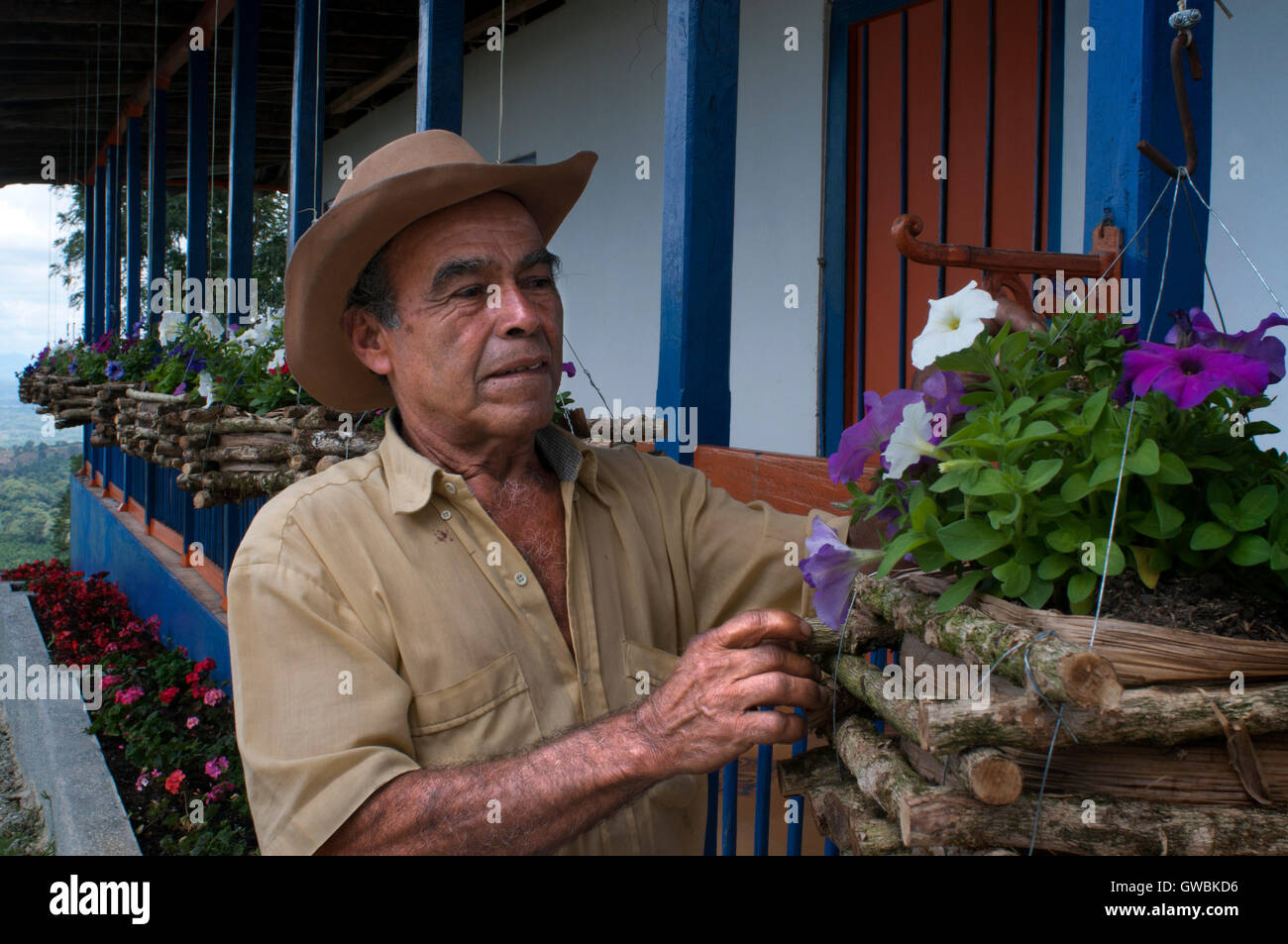 Dipendente di piantagioni di caffè a Hacienda San Alberto. Piantagioni di caffè vicino alla città Buenavista. Quindio, Colombia. Caffè colombiano crescente asse. Il caffè colombiano Regione, noto anche come il triangolo di caffè, è una parte del colombiano Paisa regione nella zona rurale della Colombia, famosa per la coltivazione e la produzione di una maggioranza di caffè colombiano, considerato da alcuni come il migliore caffè del mondo. Foto Stock