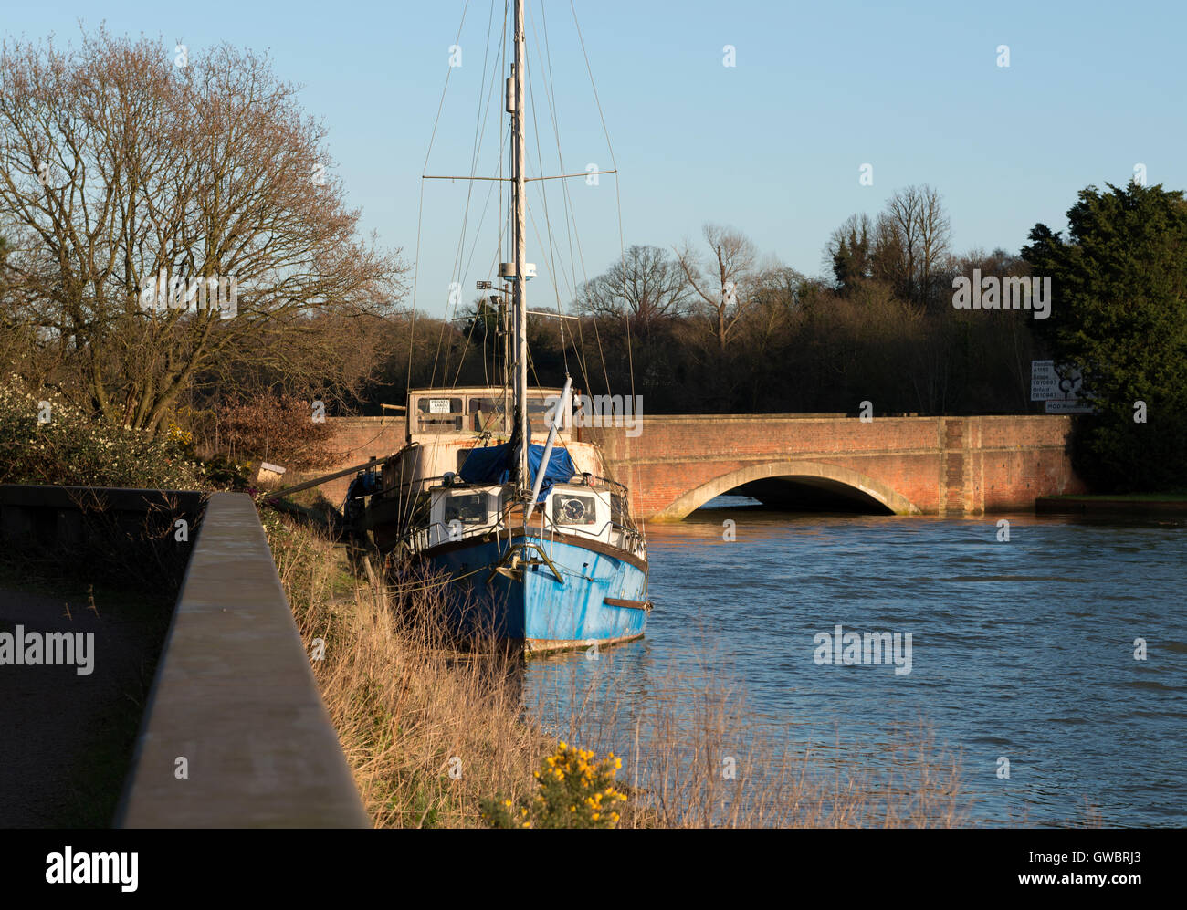 Case galleggianti ormeggiate lungo il fiume Deben, Melton, Suffolk, Regno Unito. Foto Stock