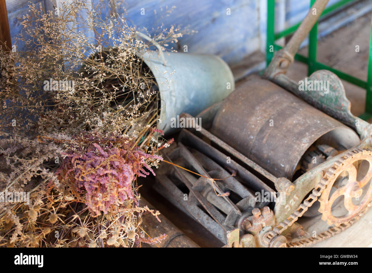 In disuso vecchio tosaerba con fiori secchi in un capannone Foto Stock