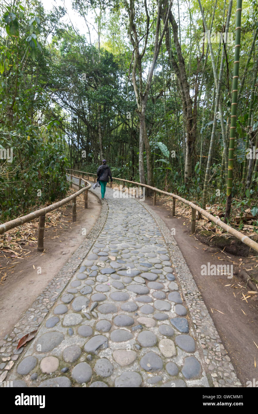 Complesso di pre-Colombiano monumenti funerari megalitici e statue, tumuli, terrazze, strutture funerarie, pietra statuar Foto Stock
