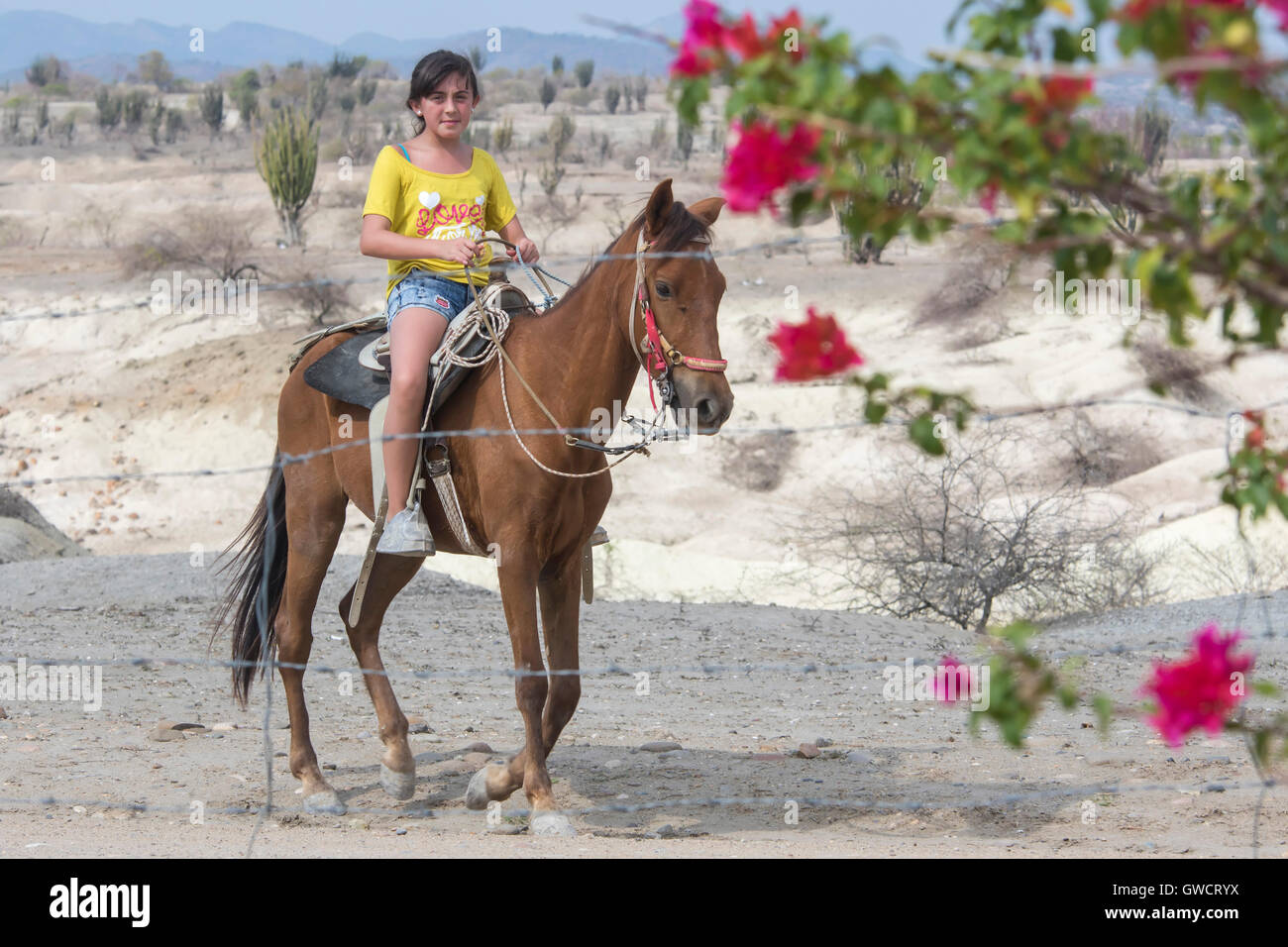 Passeggiate a cavallo nel deserto tatacoa; il deserto di Tatacoa è una zona arida situato nel dipartimento di Huila nel comune di Villa Foto Stock