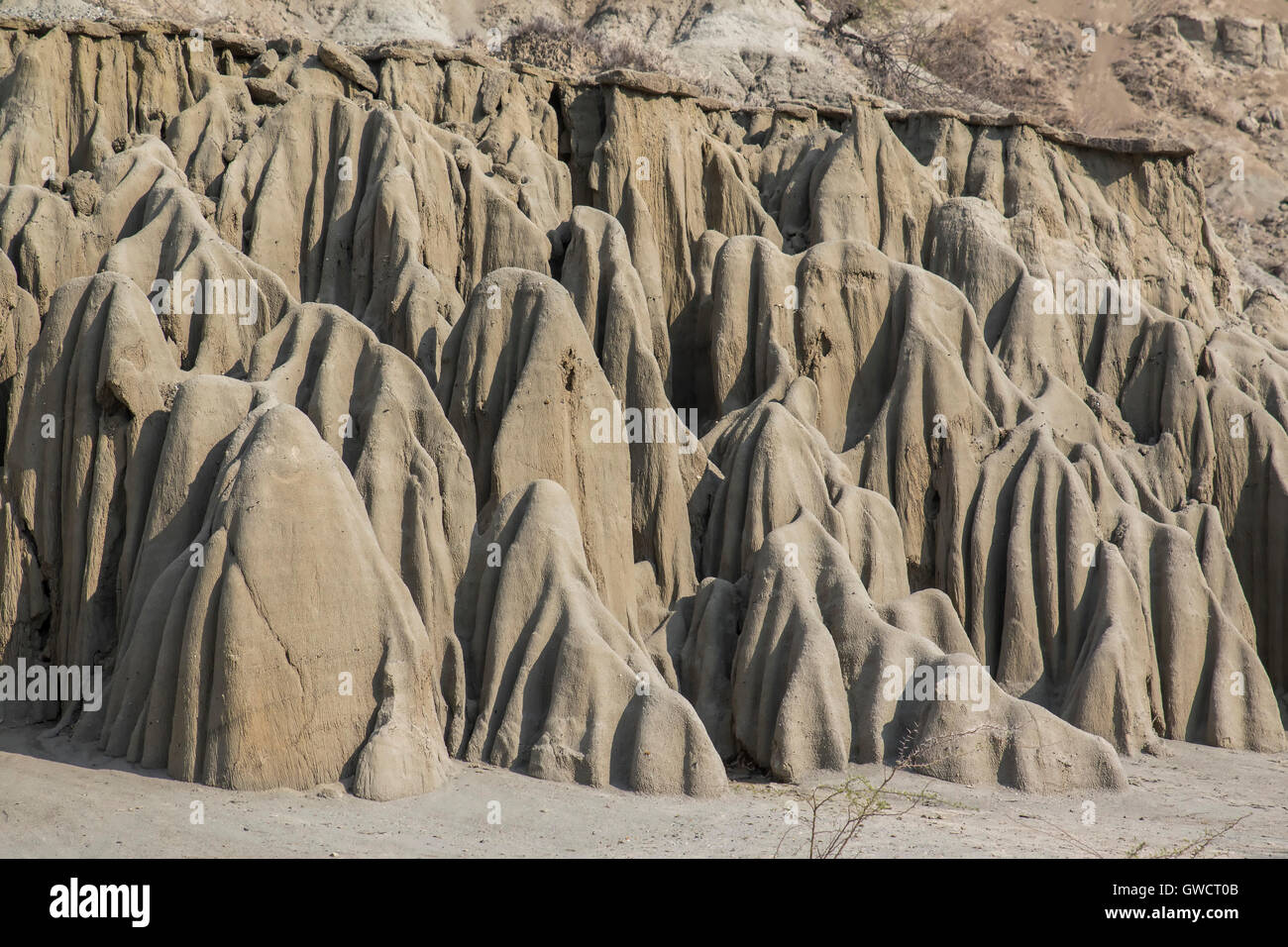 Il Deserto di Tatacoa è una zona arida situato nel dipartimento di Huila nel comune di Villavieja. È caratterizzato da Foto Stock