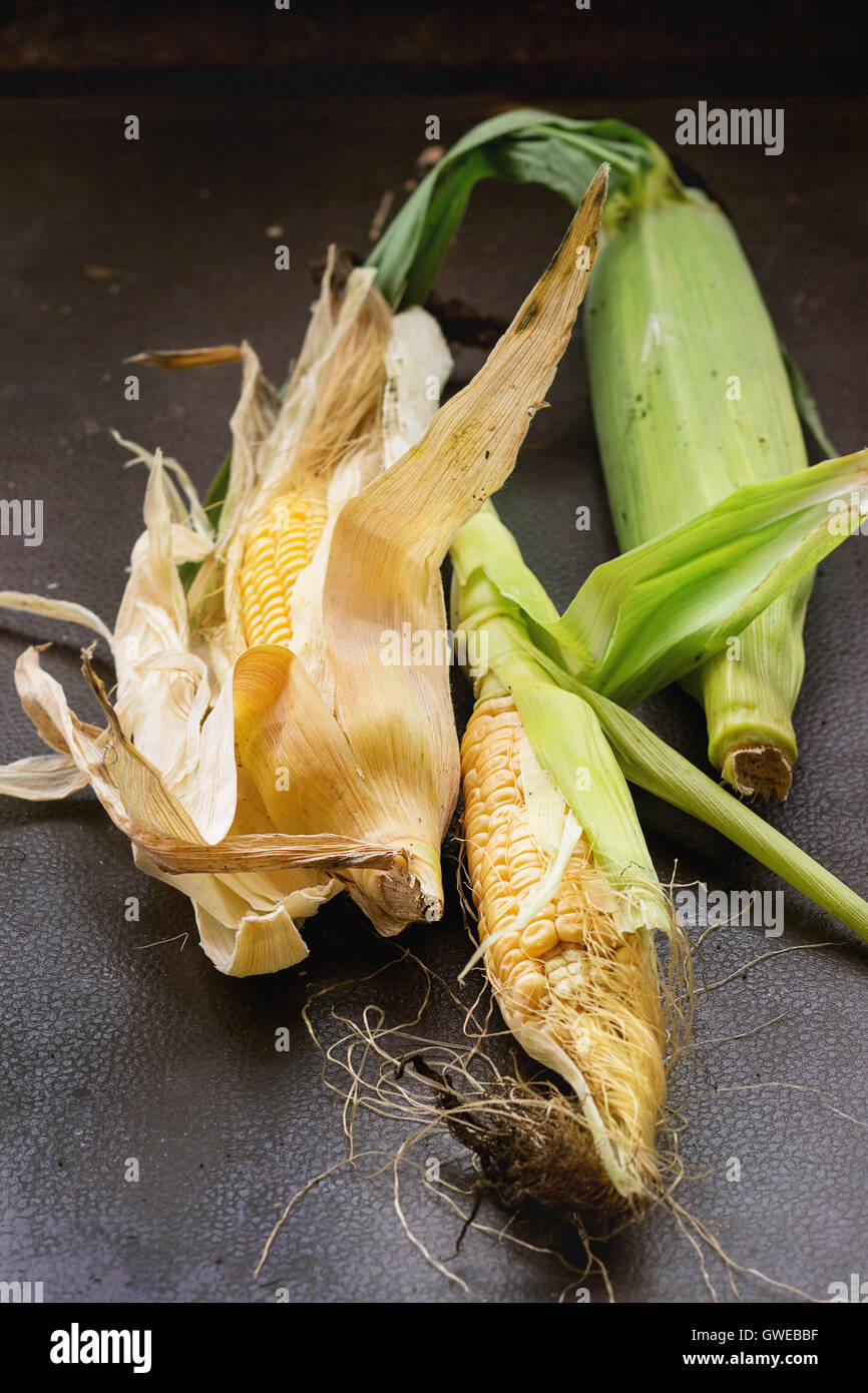 Orto biologico verdura fresca giovani i tutoli di mais con foglie su sfondo scuro. In stile rustico, la luce naturale del giorno. Foto Stock