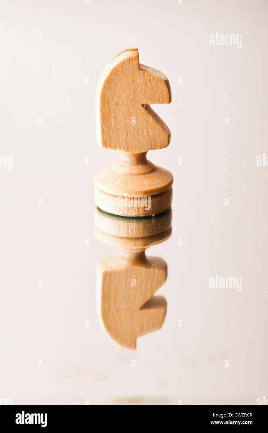 scacchi cavaliere Foto Stock