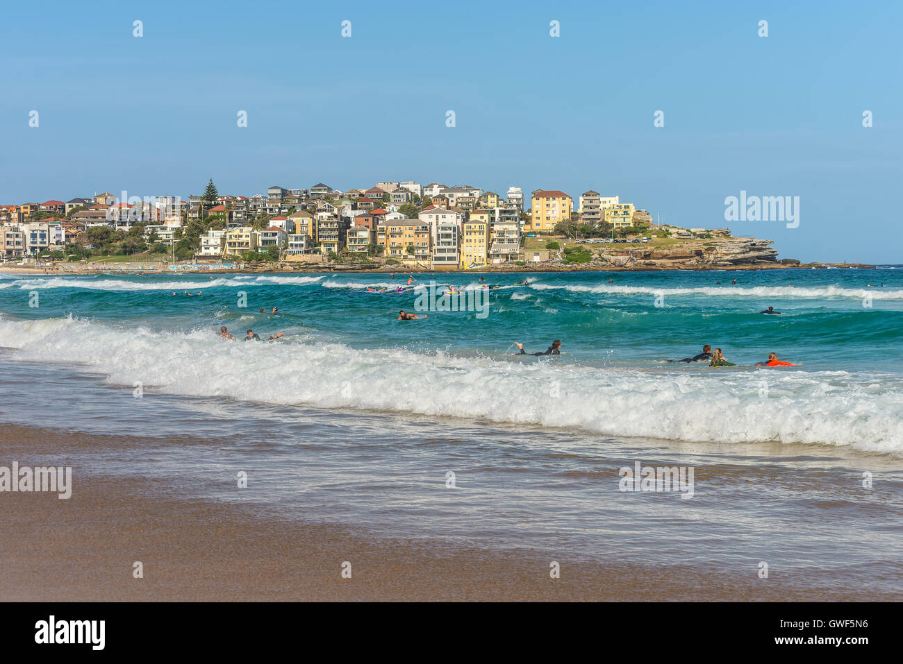 Molti surfisti in attesa per il giusto formato wave, la spiaggia di Bondi nella periferia est di Sydney Foto Stock