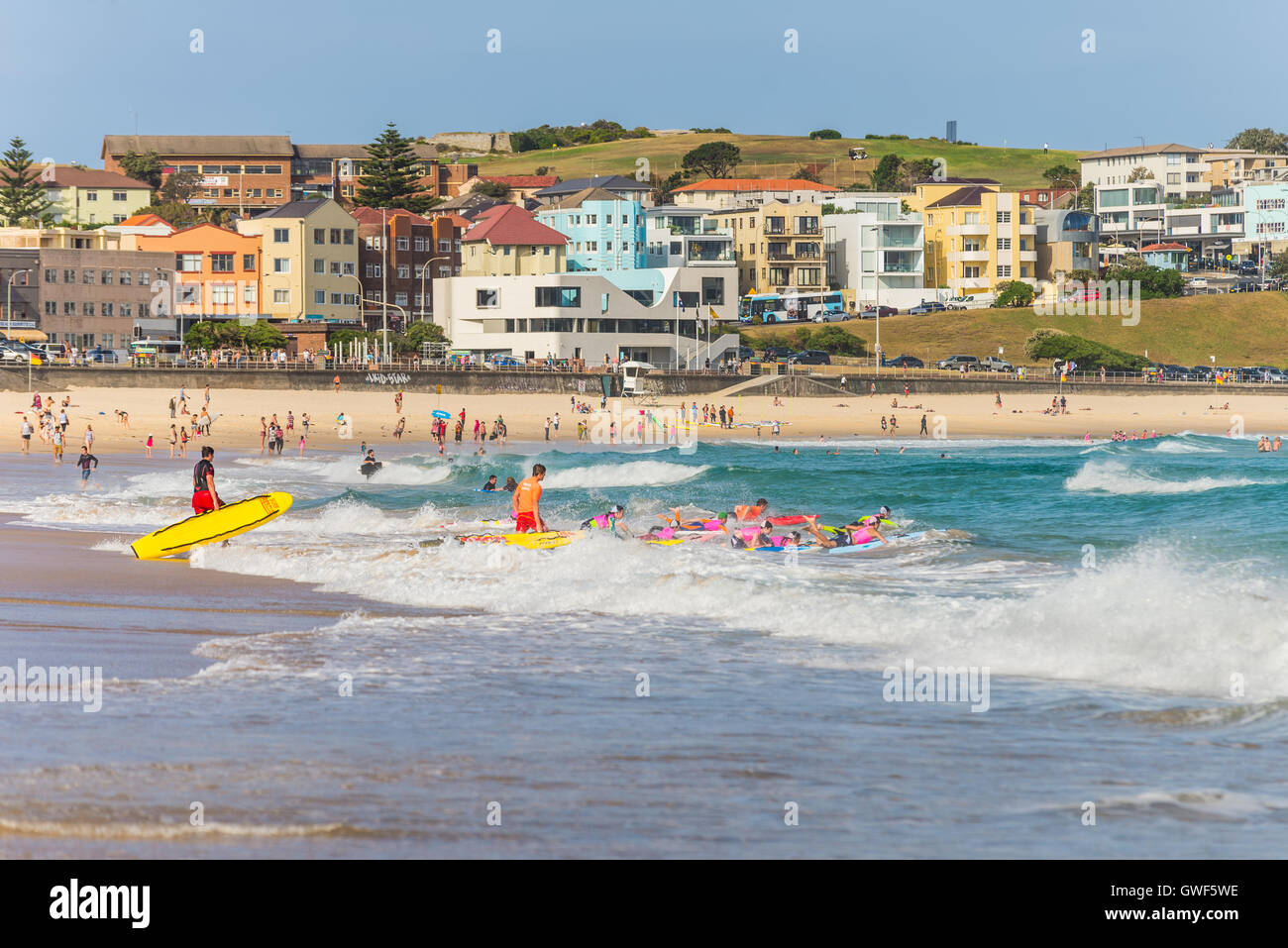 Surfers nelle acque di Bondi Beach. Foto Stock