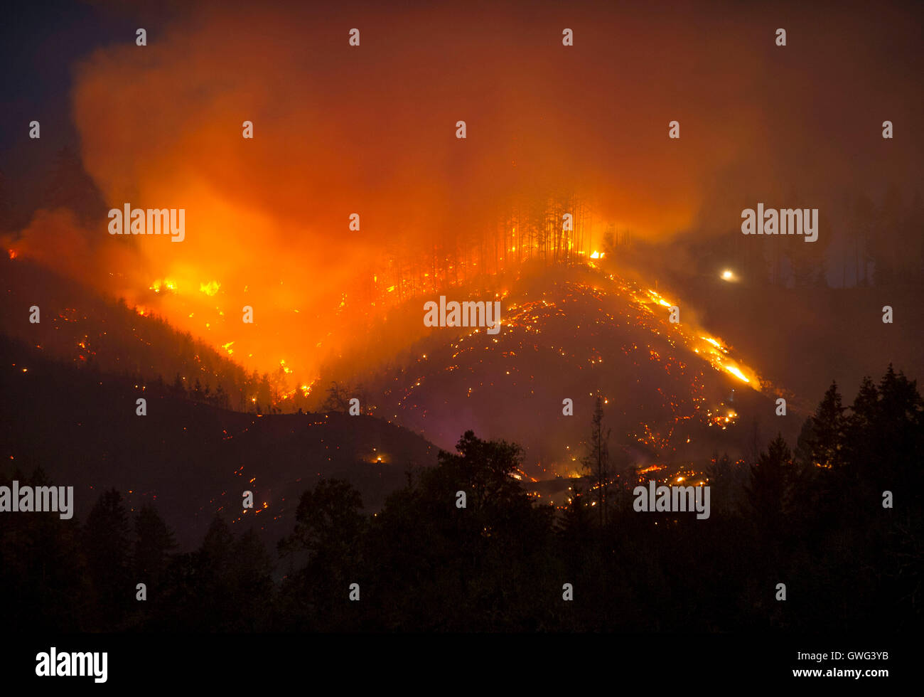 Elkton, Oregon, Stati Uniti d'America. Xiii Sep, 2016. Un incendio ustioni su una collina boschiva vicino a Elkton. Un estate calda secca ha portato a una prolungata stagione di fuoco nella parte sud-ovest della Oregon. Il fuoco che è iniziato martedì pomeriggio, era cresciuto di oltre 20 acri dal tramonto. Credito: Robin Loznak/ZUMA filo/Alamy Live News Foto Stock