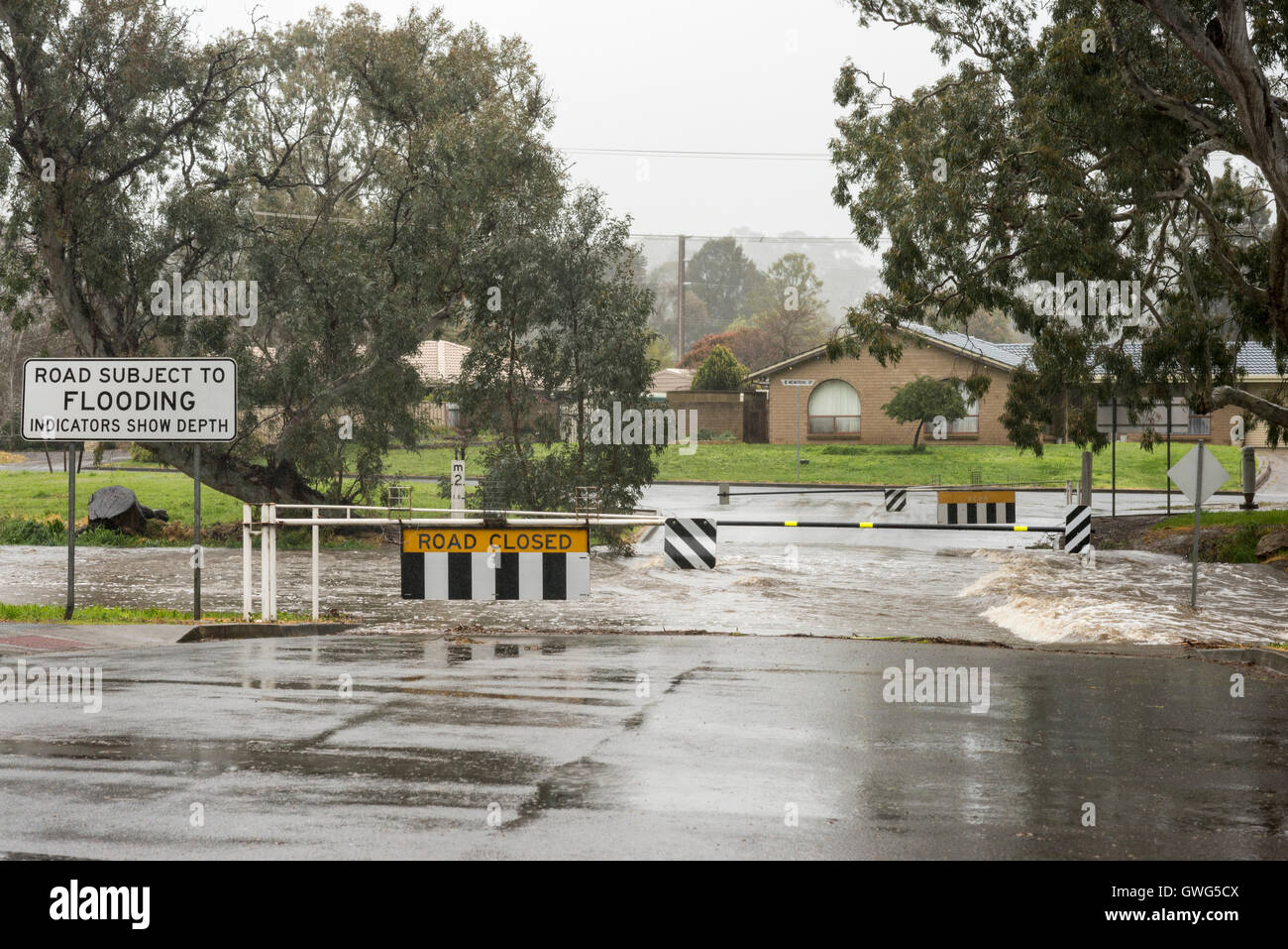 Mt Barker, Sud Australia. 14 Settembre, 2016. Allagato strade chiuse in Adelaide Hills come una tempesta ciglia la regione come potenti venti e piogge record causare caos. Ray Warren/Alamy Live News Foto Stock