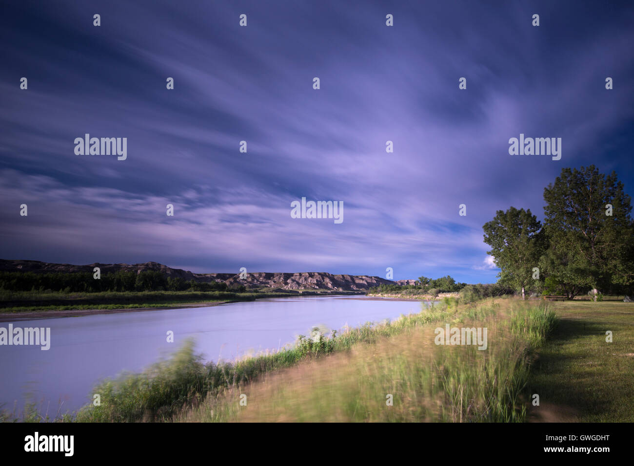 Il cervo rosso del fiume e della Valle di Parco Provinciale dei Dinosauri, Alberta, Canada Foto Stock