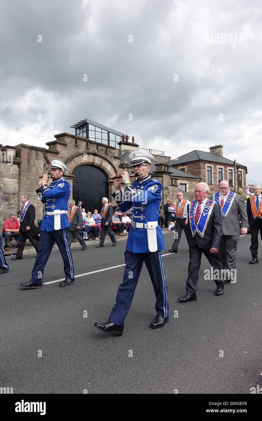 Suonare il flauto al dodicesimo sfilate in Irlanda del Nord il 12 luglio Foto Stock
