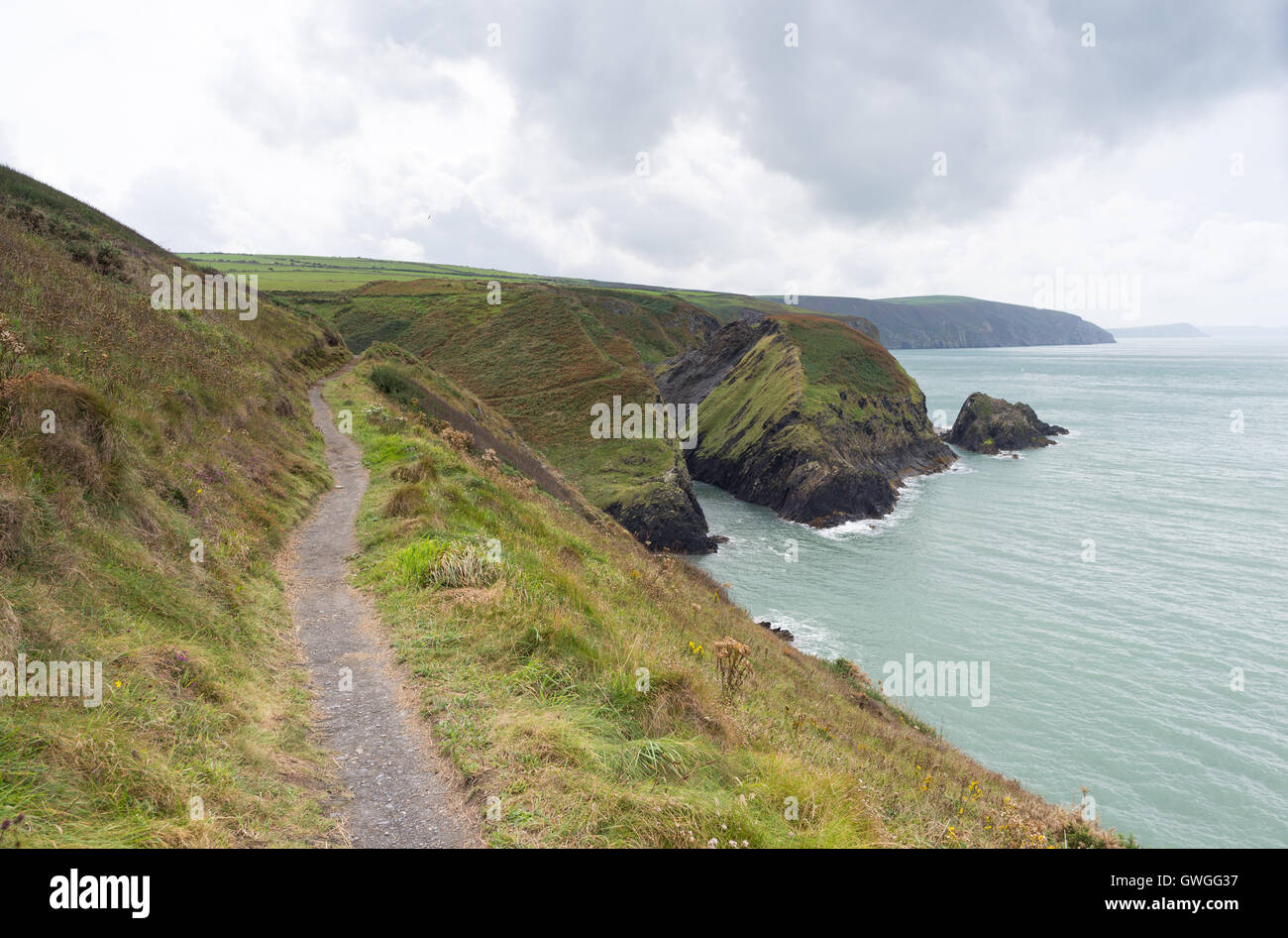 Una sezione del Nord Pembrokeshire sentiero costiero vicino Ceibwr Bay e il calderone delle streghe, Wales, Regno Unito. Foto Stock