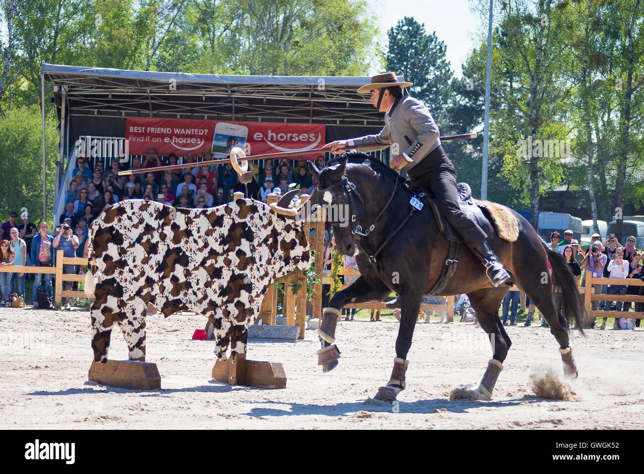 Lusitano. Rider Eduardo Almeda infilzare un anello con un polo Garrocha a lavorare Equitation EM 2016 a Monaco di Baviera, Germania Foto Stock