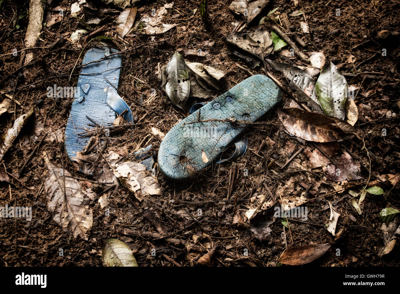 Coppia di weathered blue flipflops giacente nella foresta Foto Stock