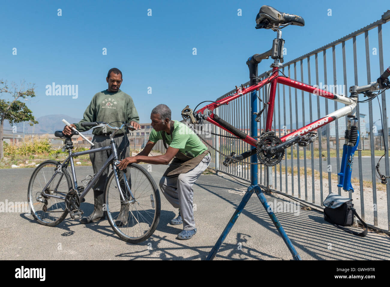 Meccanico di bicicletta di ispezionare il moto di un cliente, Cape Town, Sud Africa Foto Stock