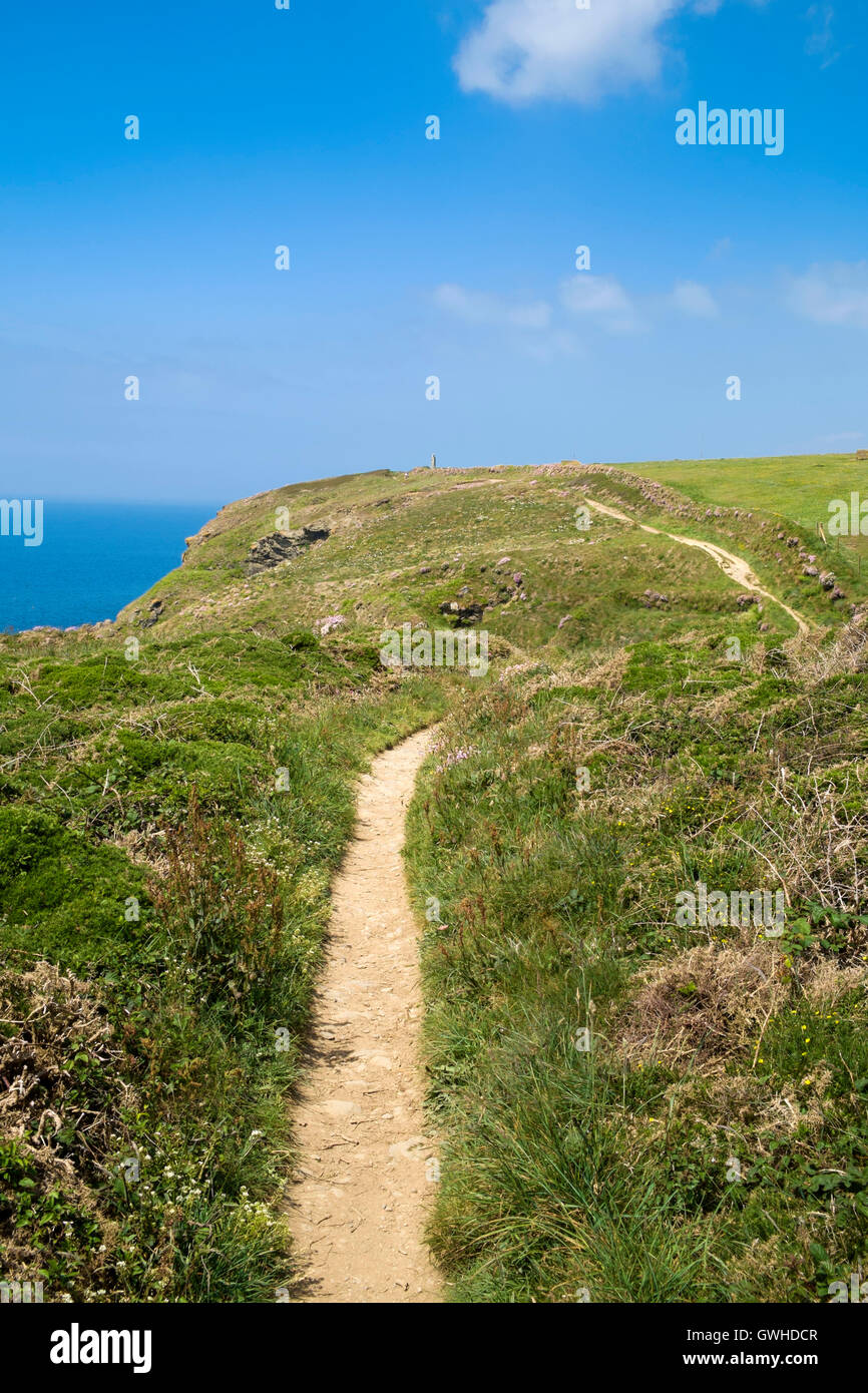 South West Coast Path lungo le scogliere sulla penisola di Lizard, Cornwall, Regno Unito Foto Stock