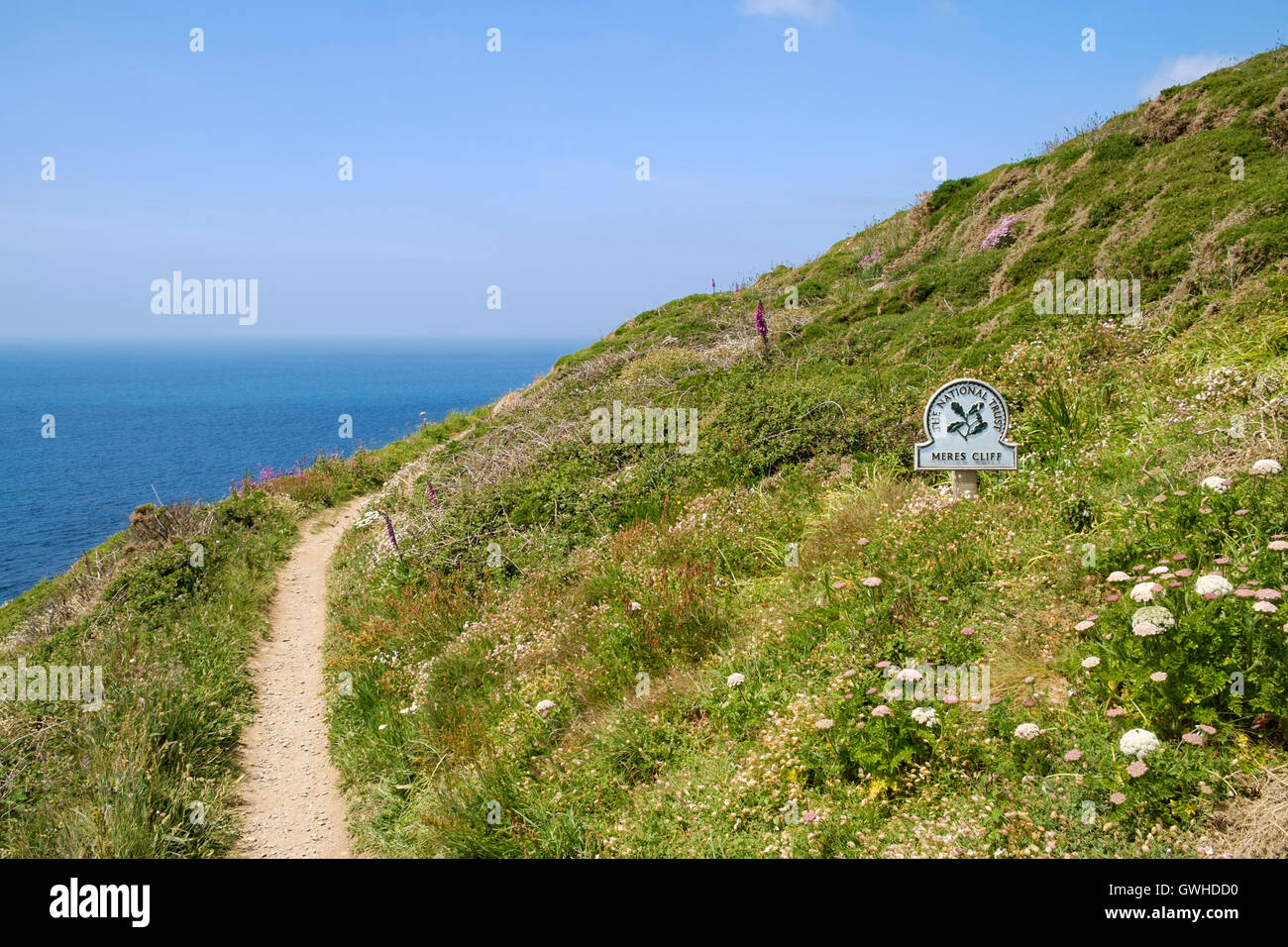 South West Coast Path a Meres Cliff, vicino a Mullion, Cornwall, penisola di Lizard, England, Regno Unito Foto Stock