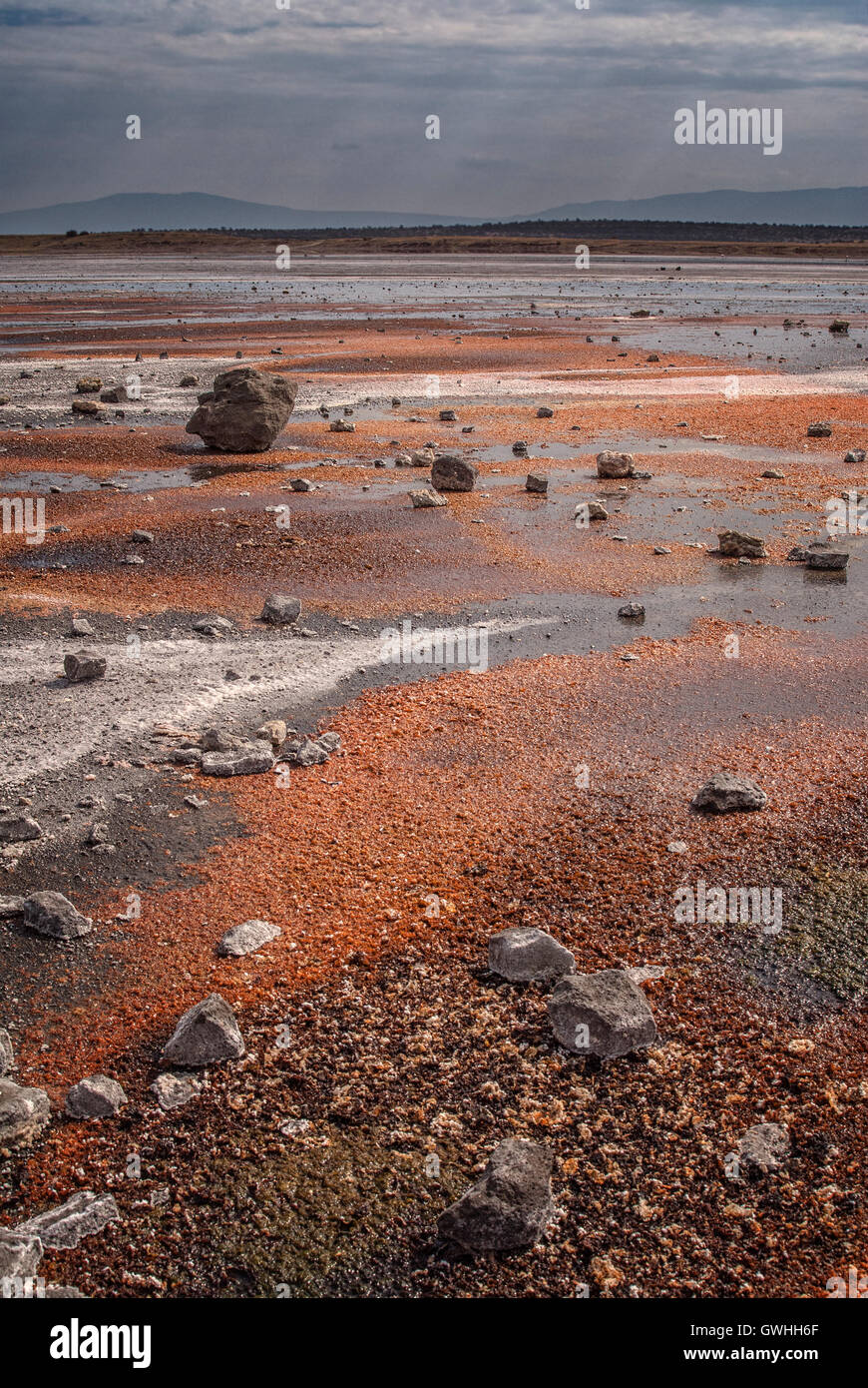 Colpo verticale di depositi di minerali in modelli sulle rive del lago Magadi in Kenya. L'Africa. Foto Stock
