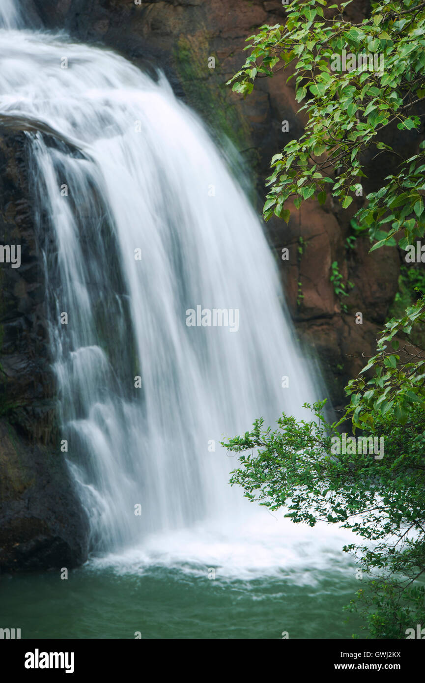 L'immagine della cascata in Bhandardara, Maharashtra, i Ghati Occidentali, monsone, India Foto Stock