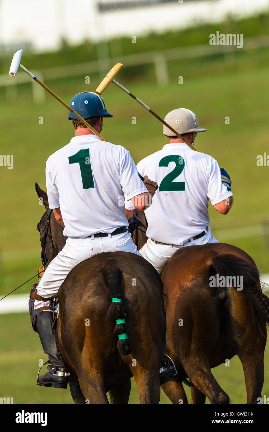 Polo equestre Pony cavallo closeup abstract giocatori gioco d'azione Foto Stock