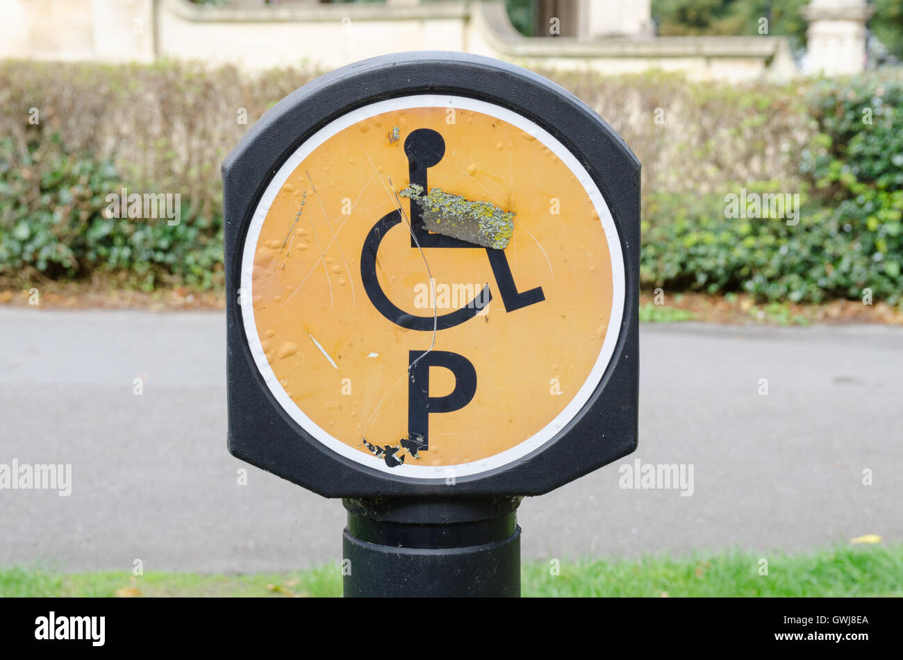 Spazio parcheggio per disabili driver in piazza imperiale, Cheltenham Foto Stock