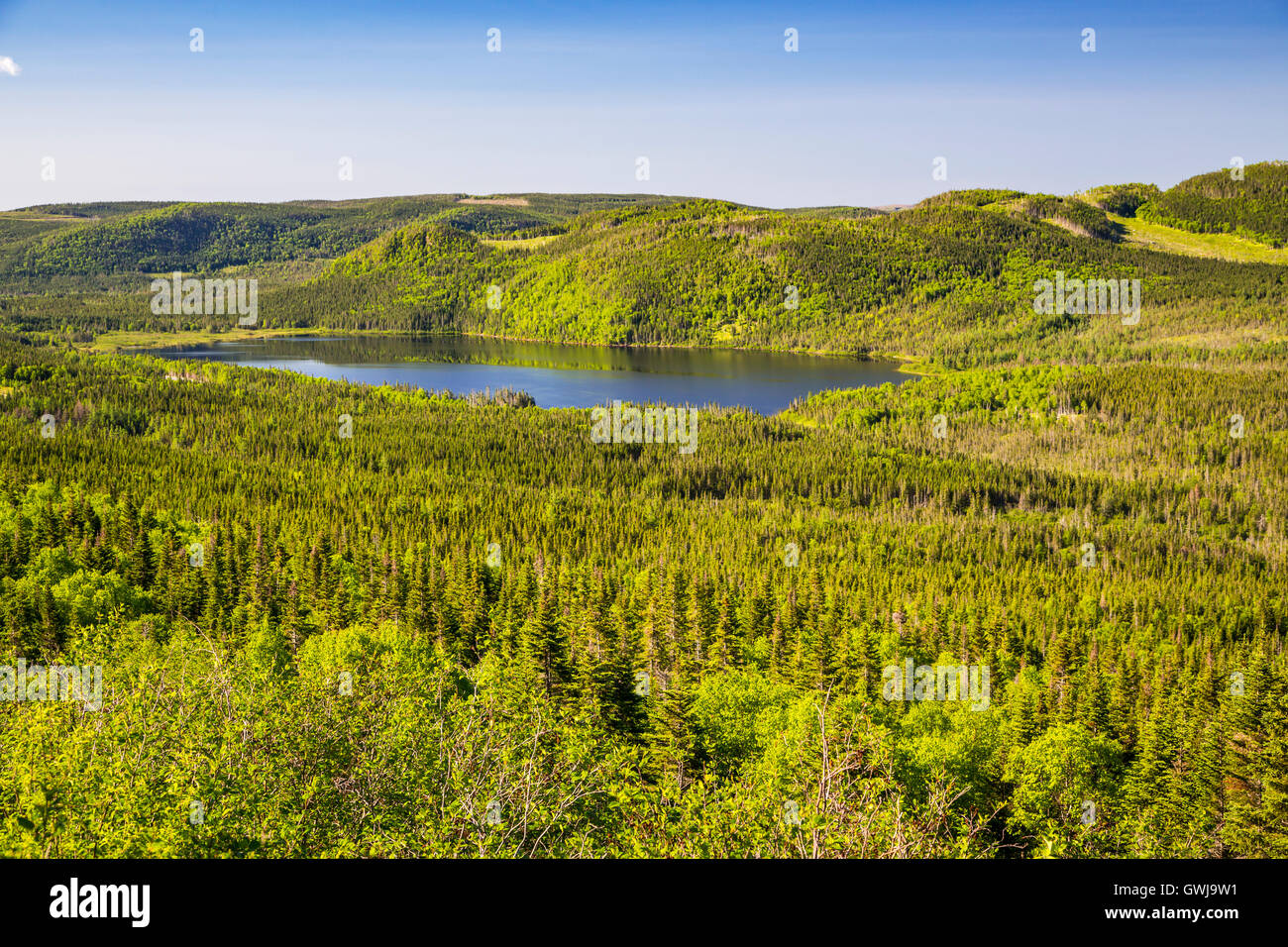 Paesaggi costieri nel Parco Nazionale Gros Morne, Terranova e Labrador, Canada. Foto Stock