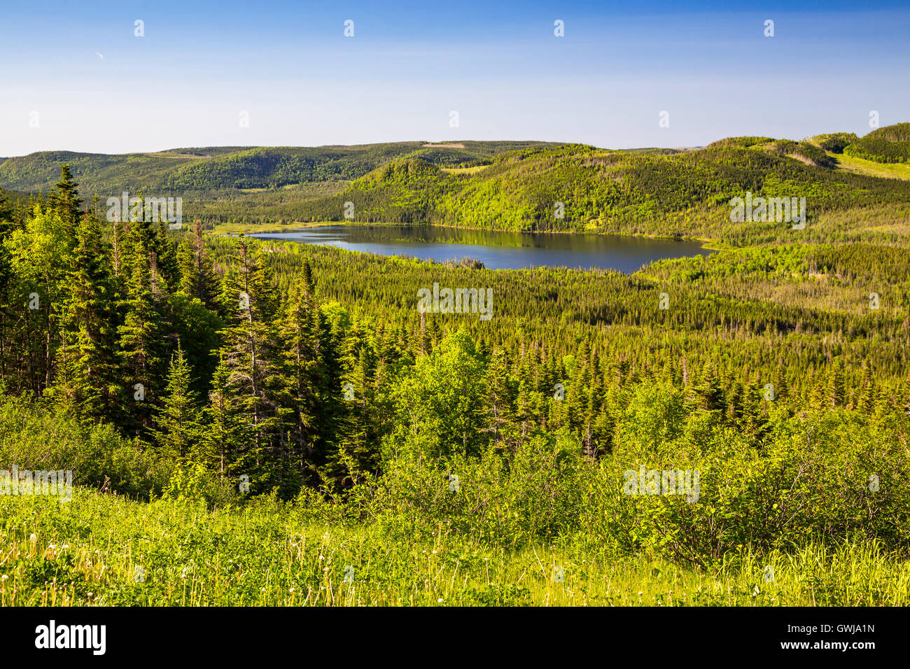 Paesaggi costieri nel Parco Nazionale Gros Morne, Terranova e Labrador, Canada. Foto Stock