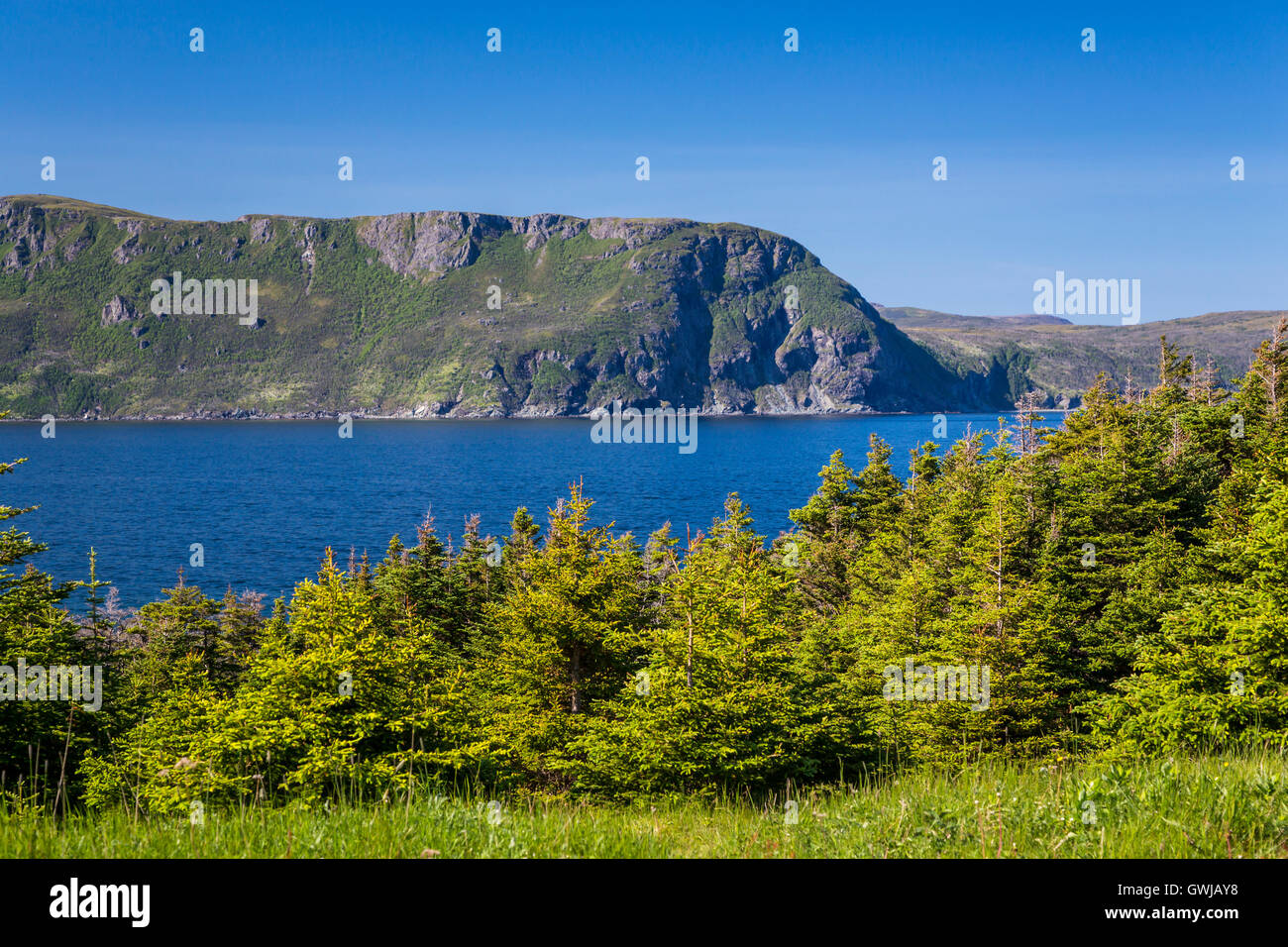 Le Scenic costiere al Parco Nazionale Gros Morne, Terranova e Labrador, Canada. Foto Stock