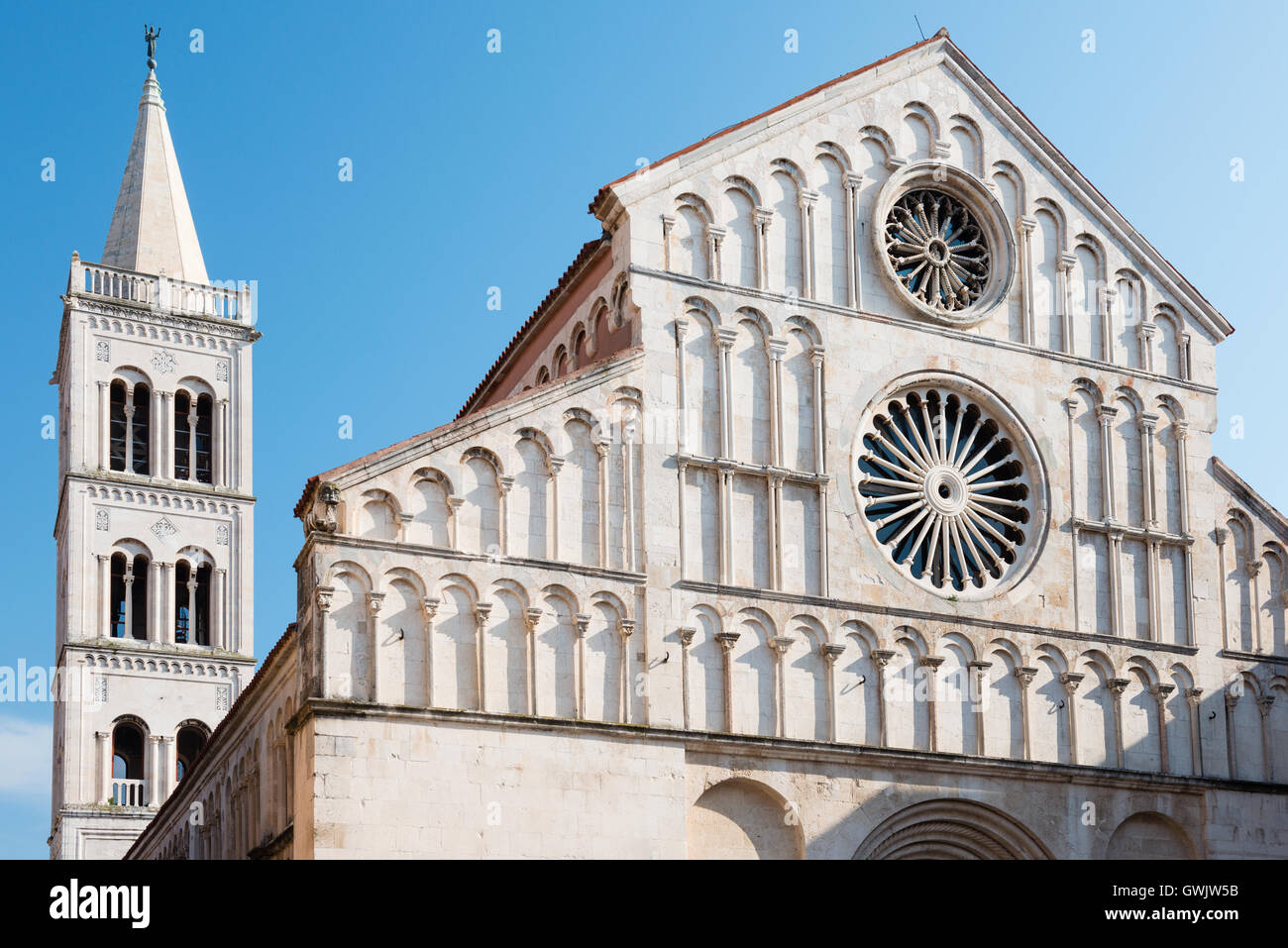 Santa Anastasia Cattedrale e la torre campanaria nel centro storico di Zadar, Croazia Foto Stock