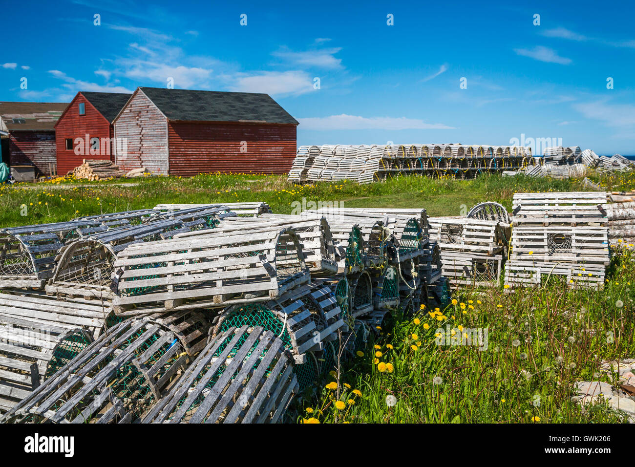 Casella di sale di case colorate e fasi di pesca con trappole a base di aragosta nel villaggio di testa di vacca, Terranova e Labrador, Canada. Foto Stock