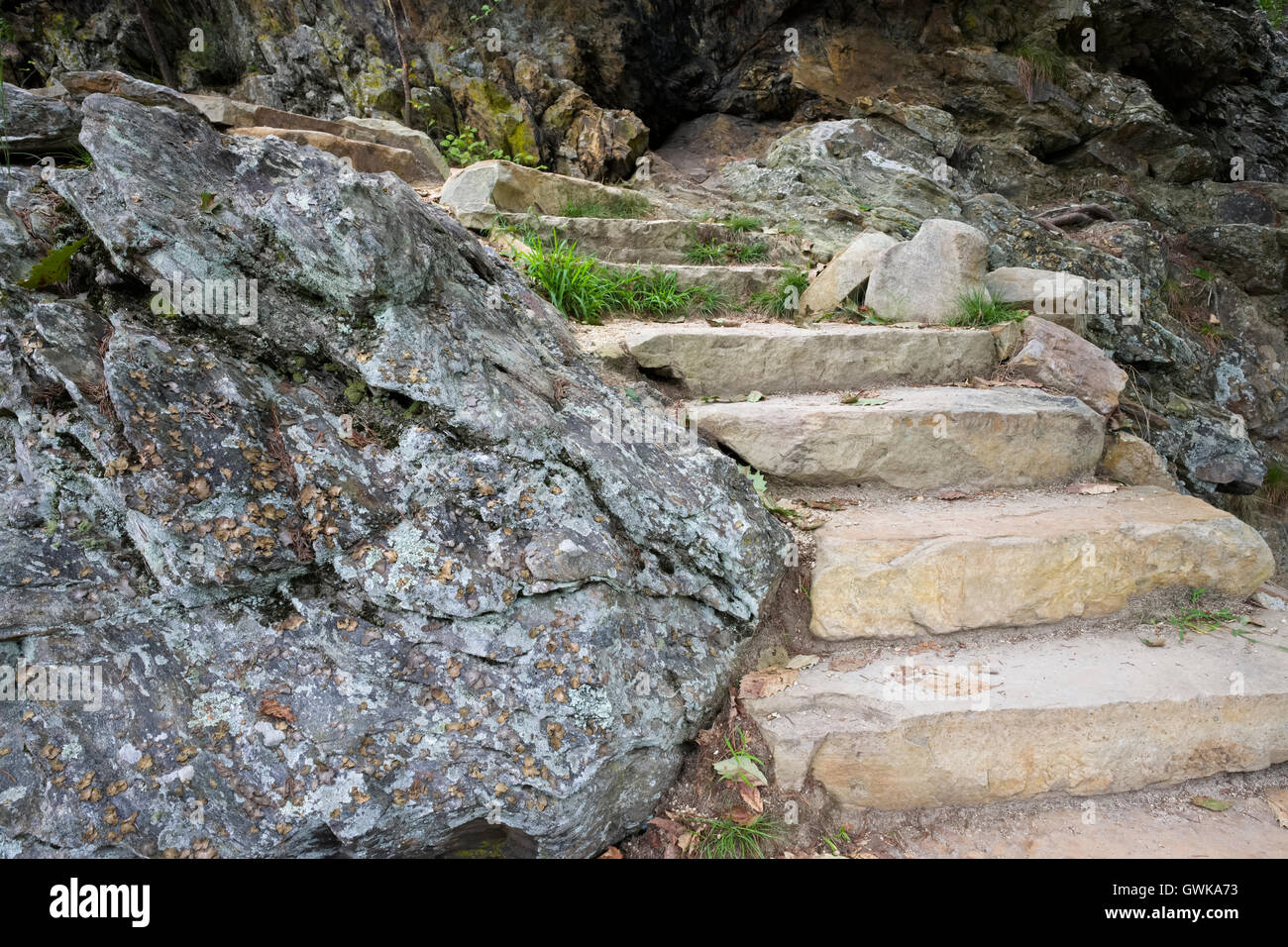 Pietra / rock scalinata passi. Queste scale di roccia sono in basso a Cascades cade in Hanging Rock State Park, NC Foto Stock