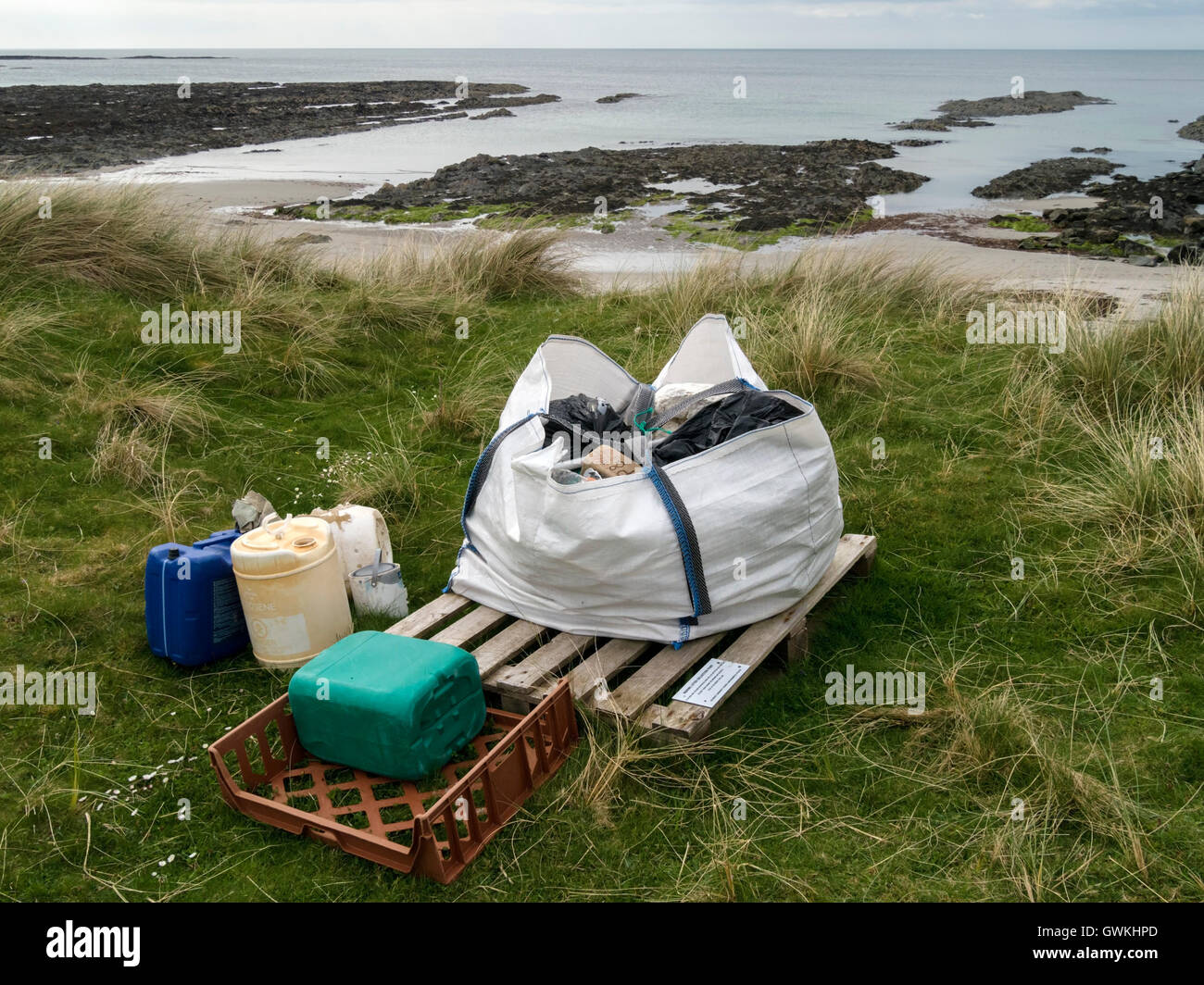 Cucciolata marini punto di raccolta da spiaggia, Plaide Mhor, Ardskenish, Isola di Colonsay, Scotland, Regno Unito. Foto Stock