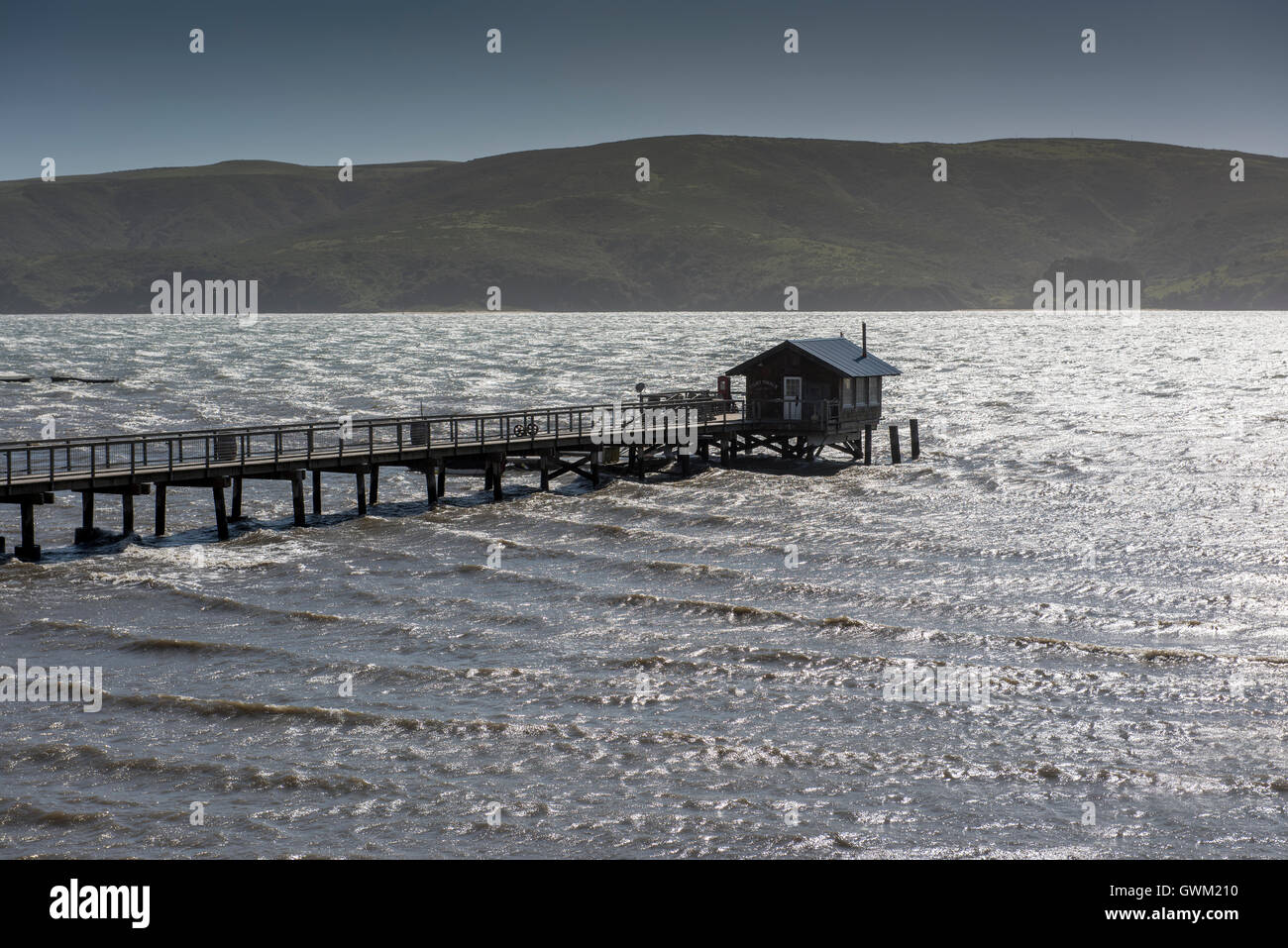 Jetty in Tomales Bay, vicino al punto Reyes area stazione, sulla autostrada 1, California, Stati Uniti d'America. Foto Stock