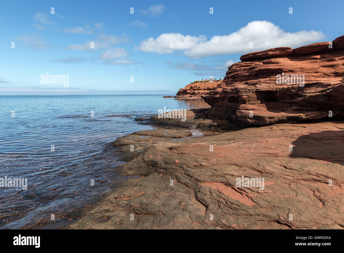 Coste e spiagge di Prince Edward Island. Golfo di Saint Lawrence. Foto Stock