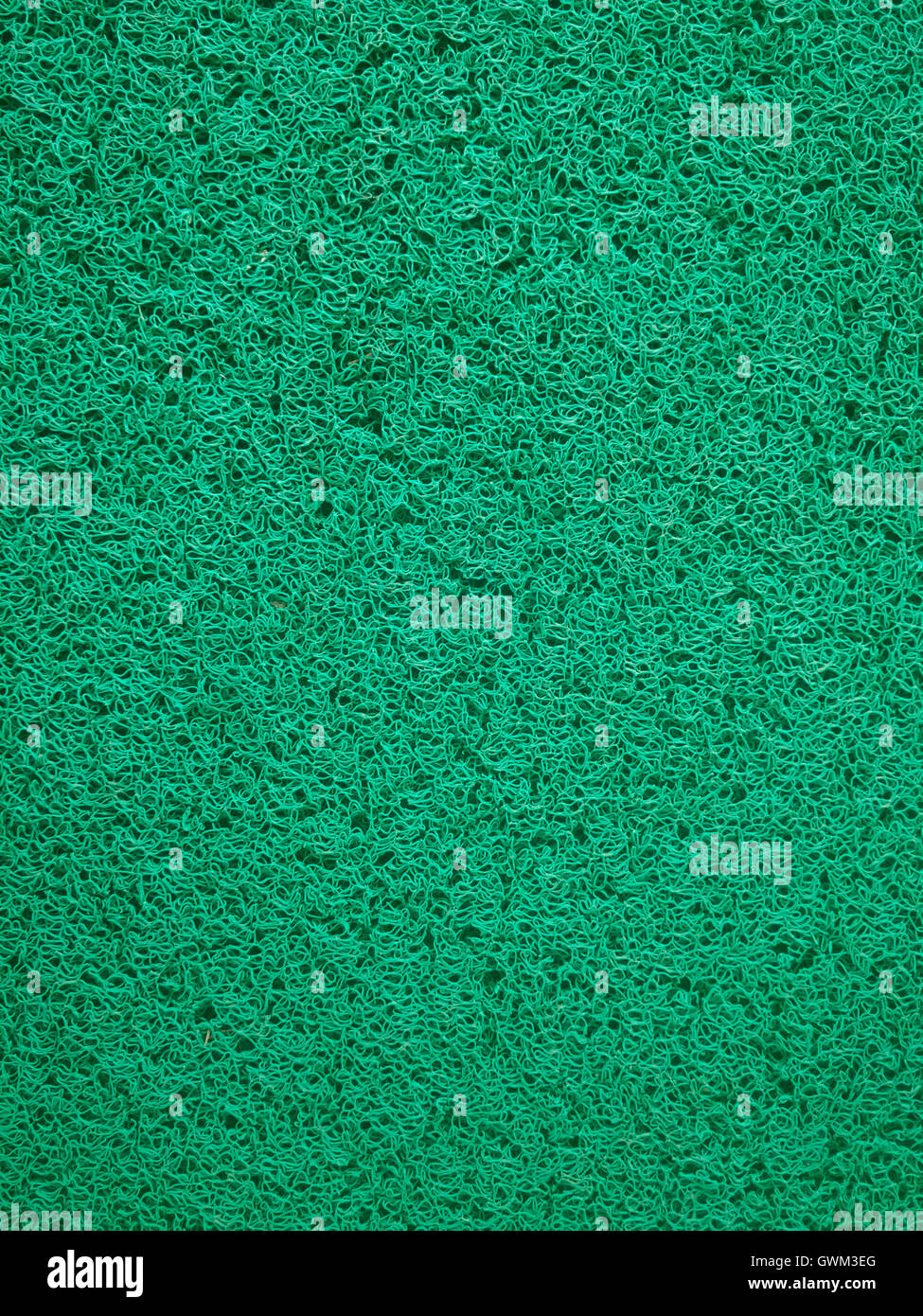 Vinile verde trappola per polvere moquette Foto Stock
