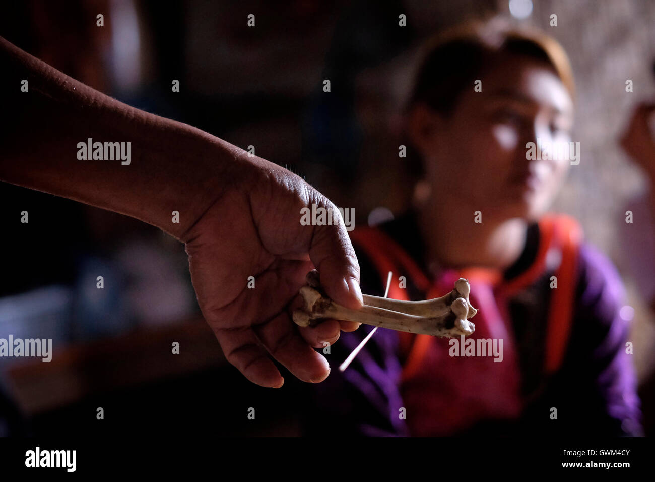 Uno sciamano detiene un osso di pollo segnato da stuzzicadenti durante una pratica tradizionale per diagnosticare la malattia e predire in un Lisu hill tribe village in Chiang Mai provincia, nel nord della Thailandia. Lisu pratica una religione che è parte animistica, parte al culto degli antenati, mescolato all'interno di complessi sistemi locali del posto a base di religione. Foto Stock