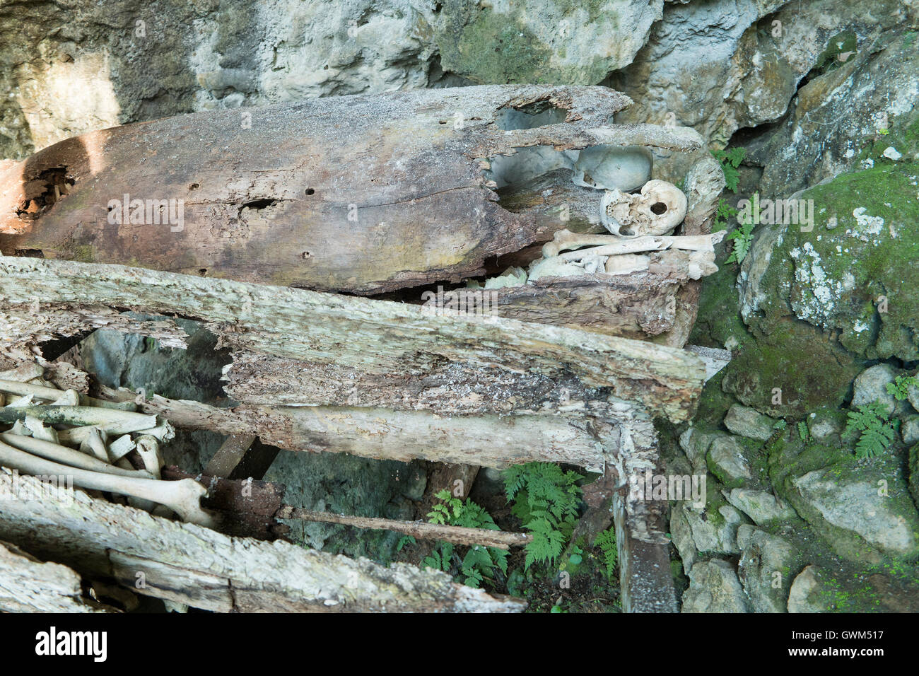 Centinaia di migliaia di anni appeso bara e cimitero di pietra del popolo Toraja Foto Stock